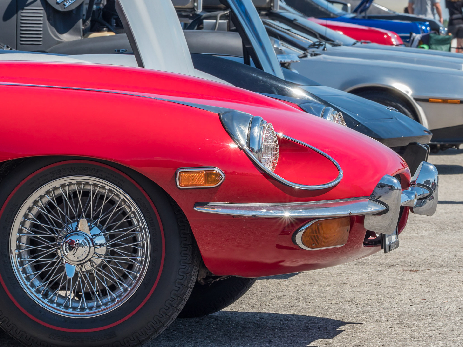 Vintage Wheels and Wings - Jag