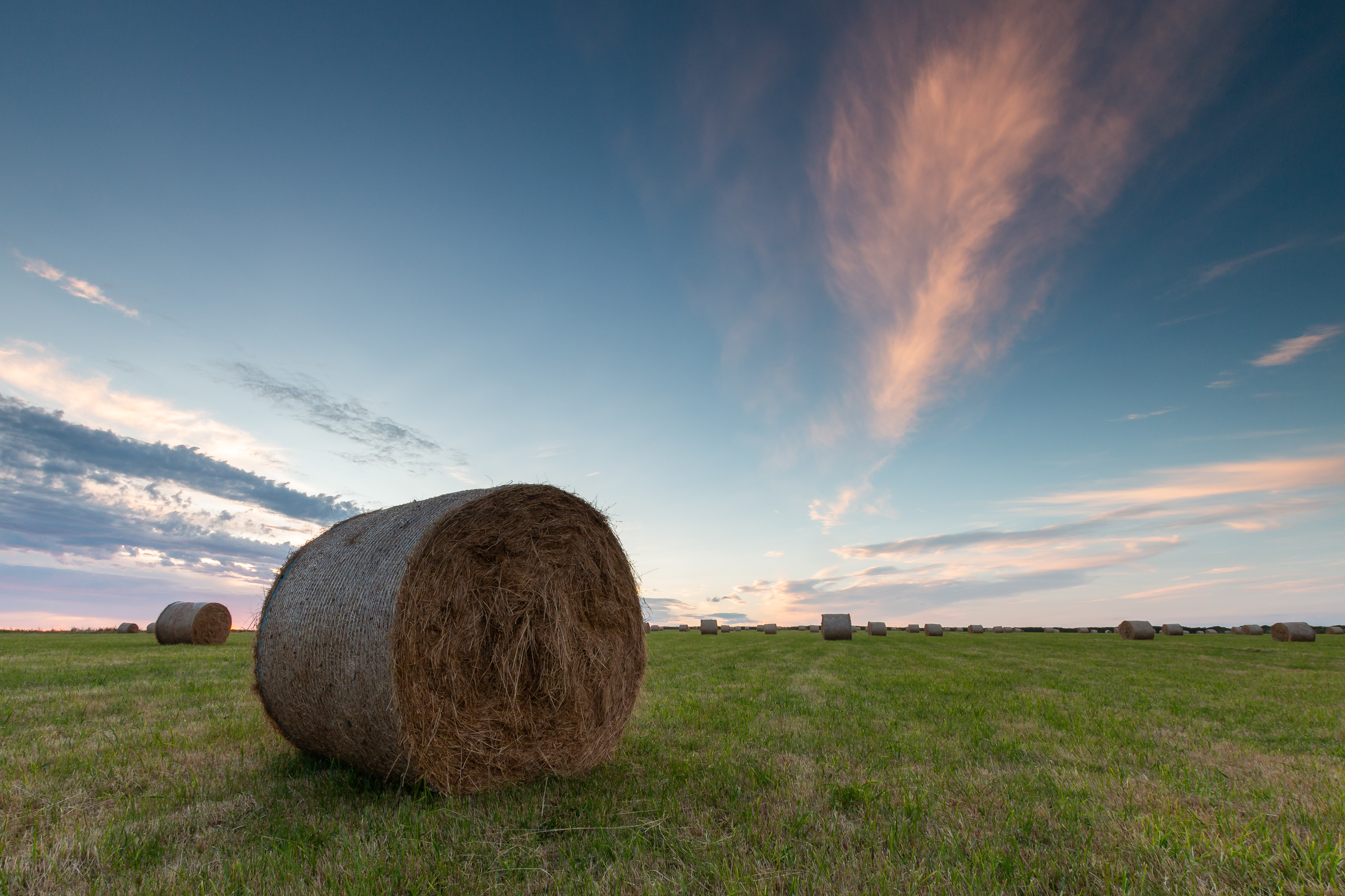 Nash Point Haybale