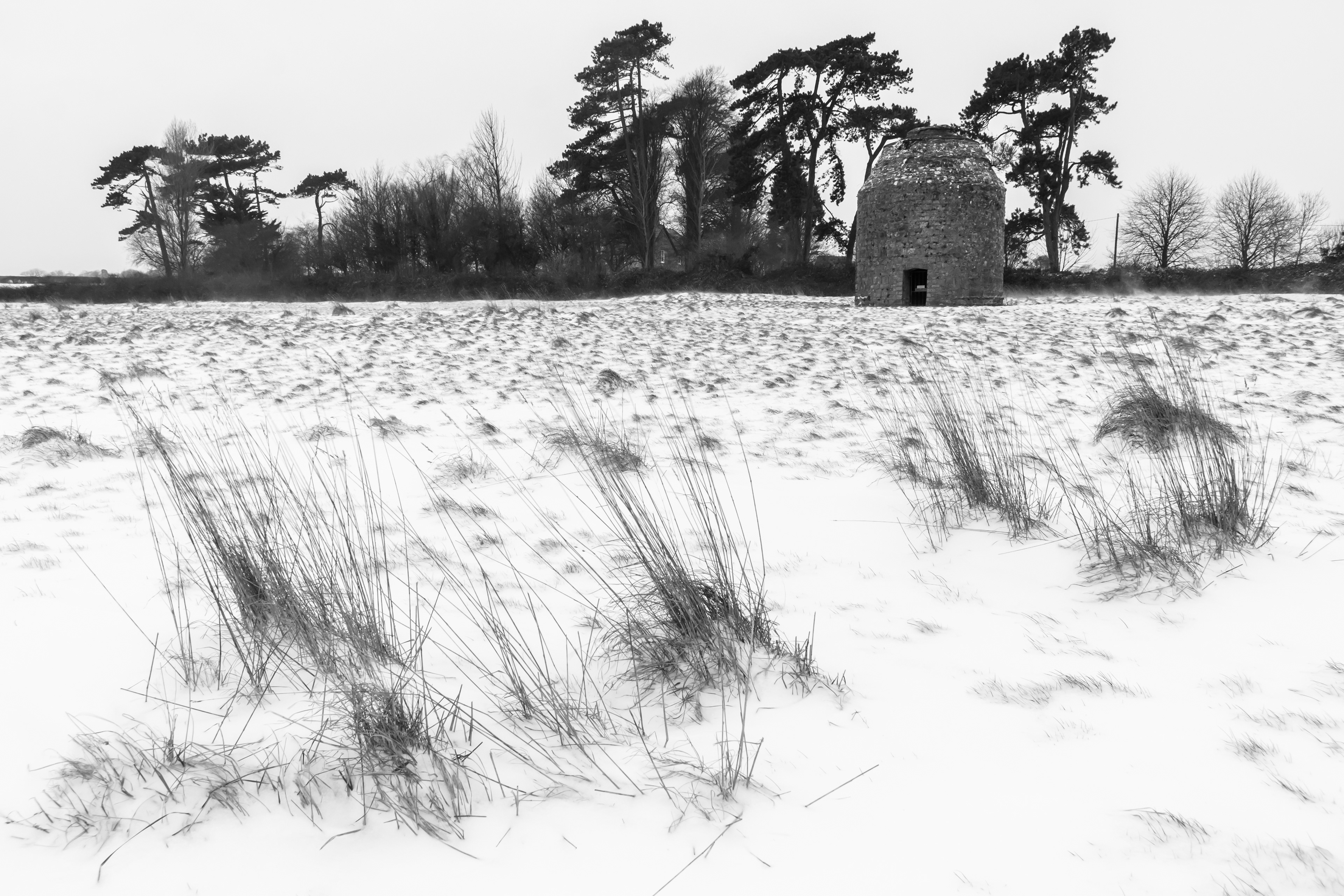 The Snowy Dovecote