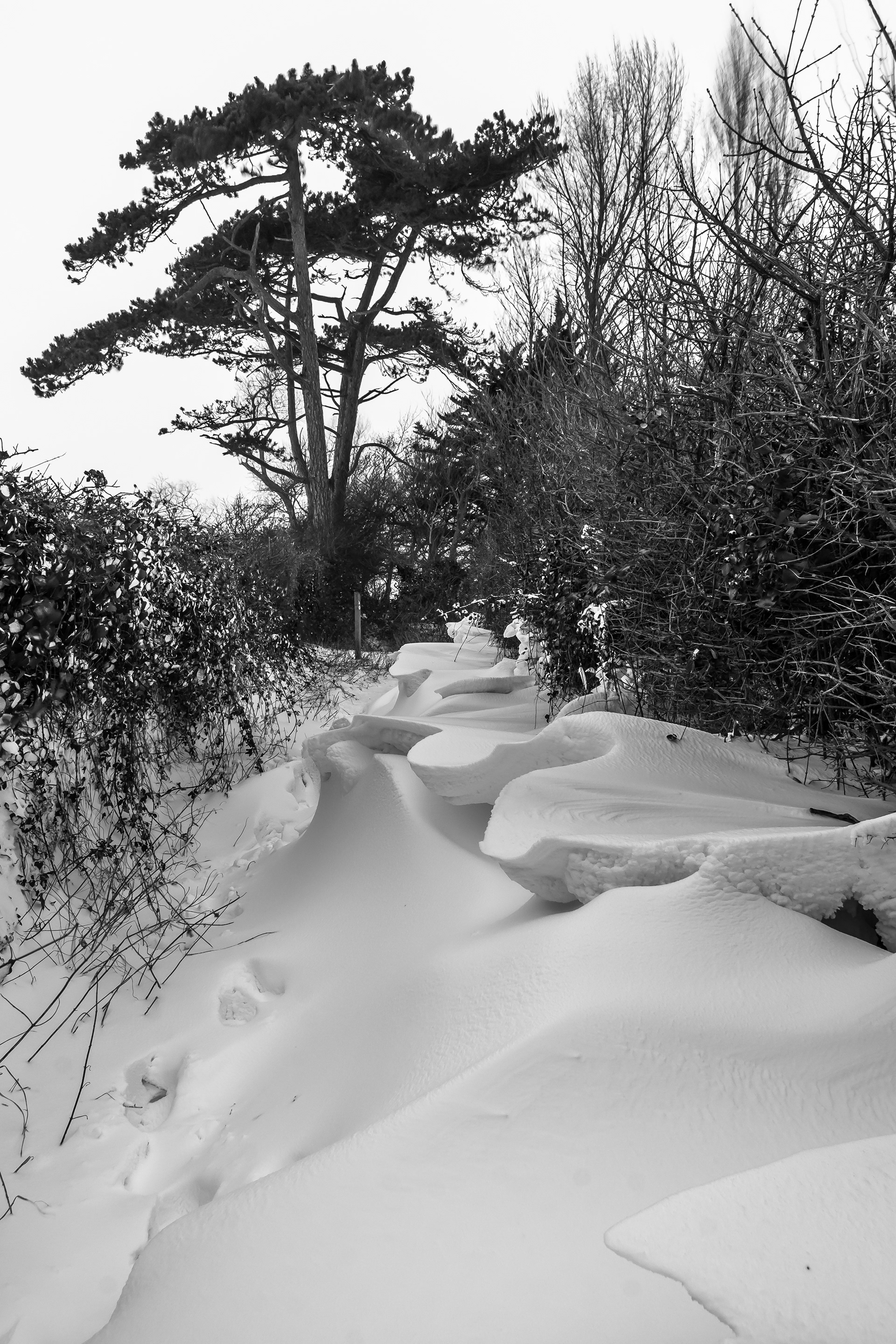 Llantwit Snow Drifts