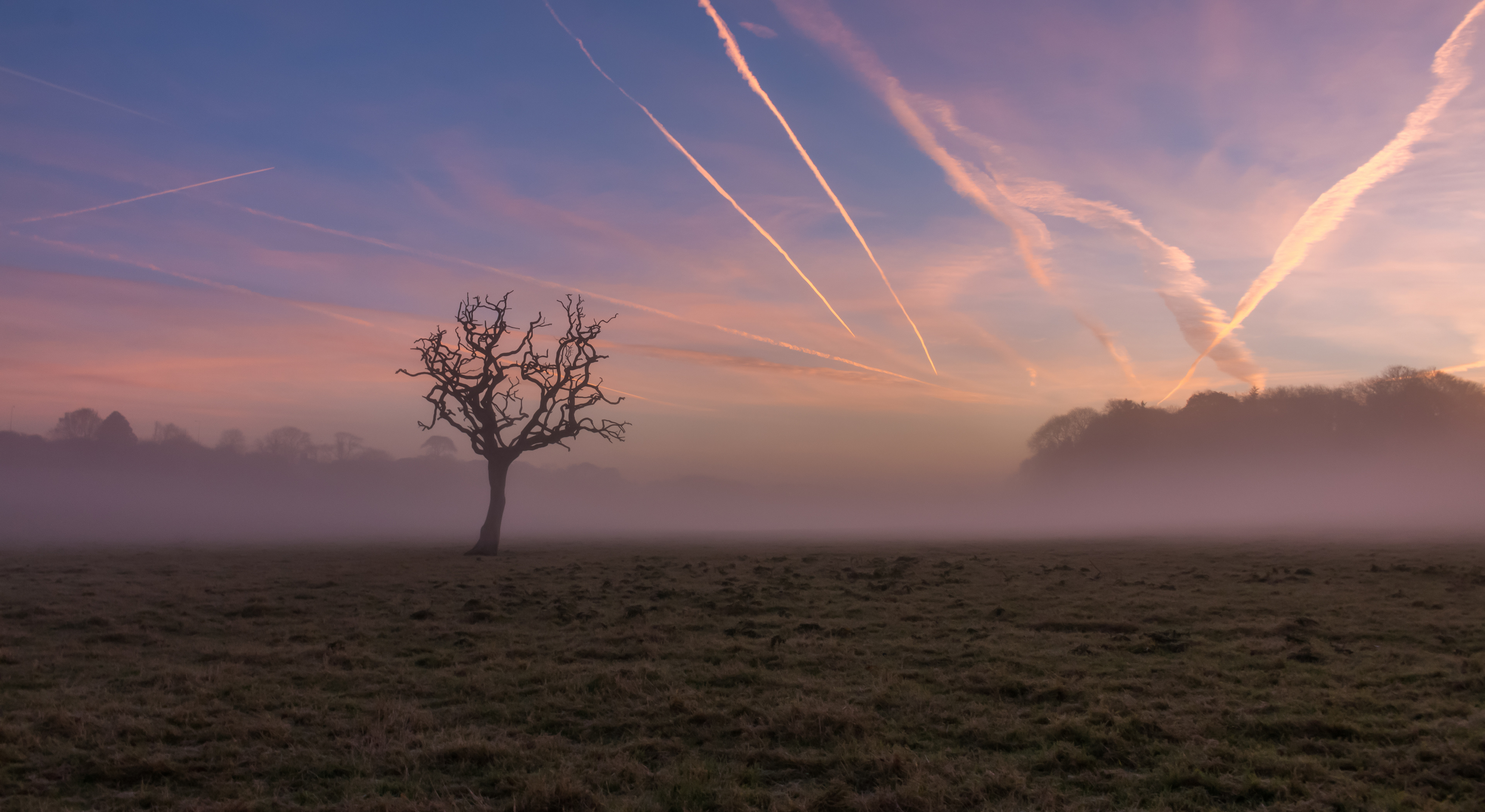 Pentre Meyrick Tree Vapour Trail Sunrise