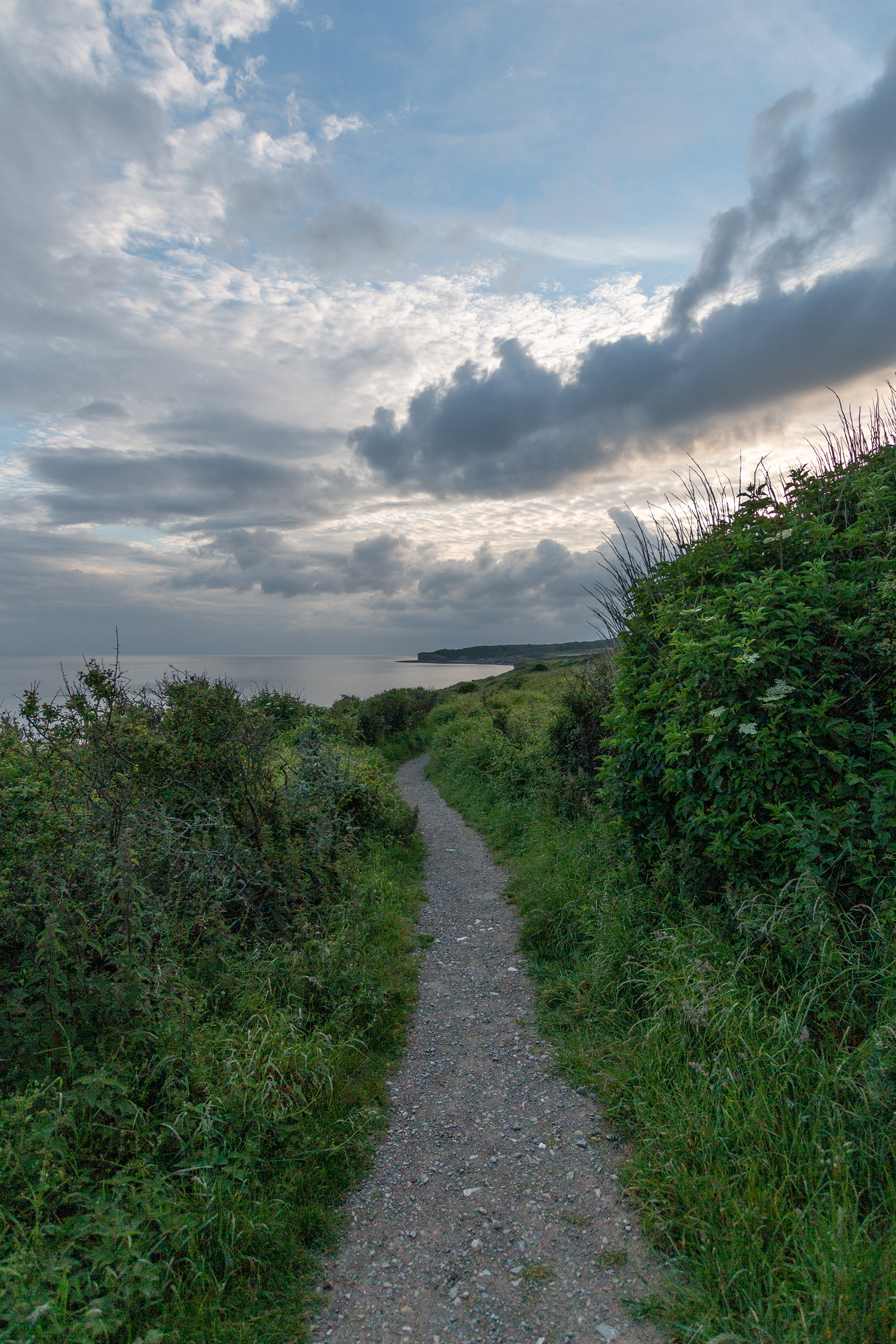 Llantwit Coast Path Portrait