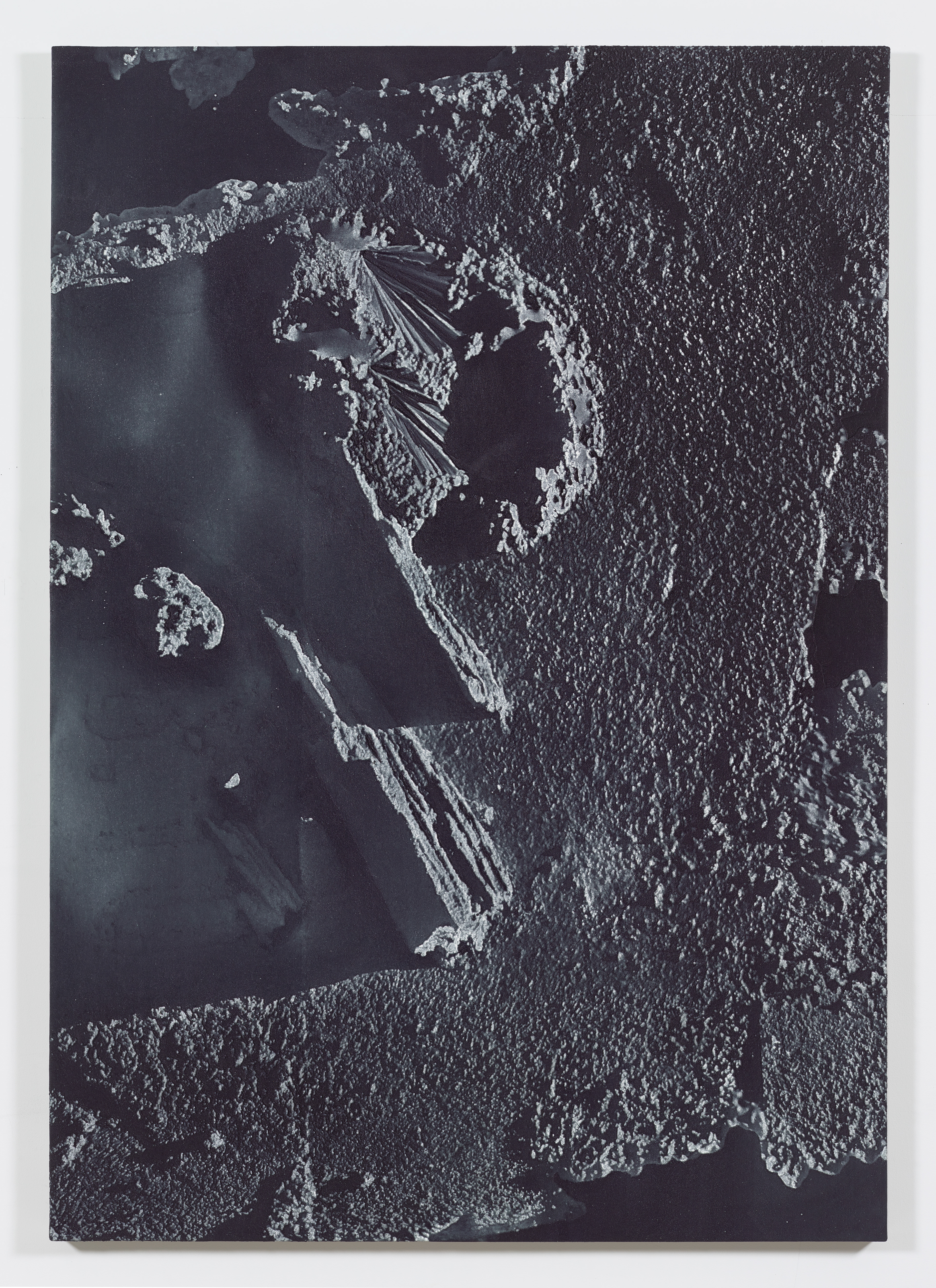 Anti-Scan, 2015, Pigment and Urethane Binder on Canvas, 80 x 56 inches