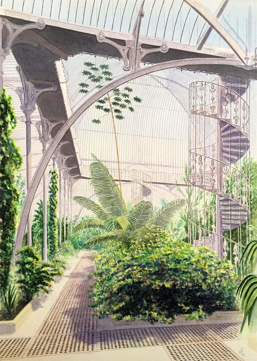 'Palm House, Kew' - pencil & watercolour