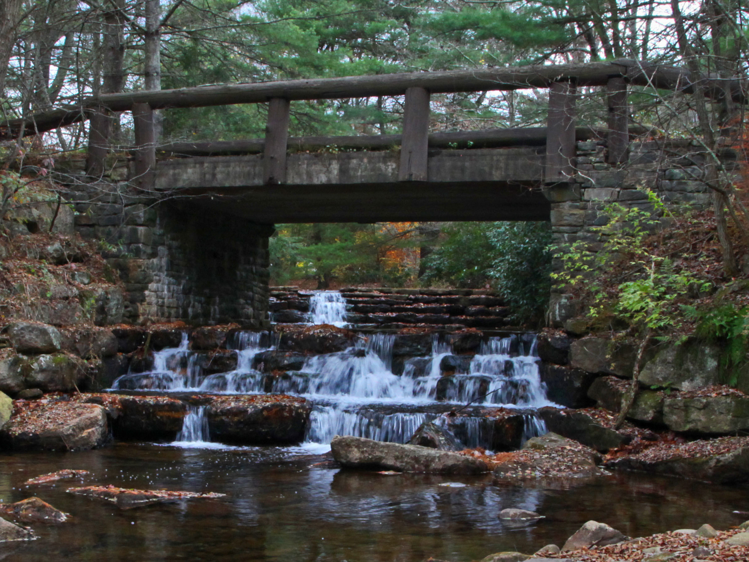 Wildthingstodo - Hickory Run State Park