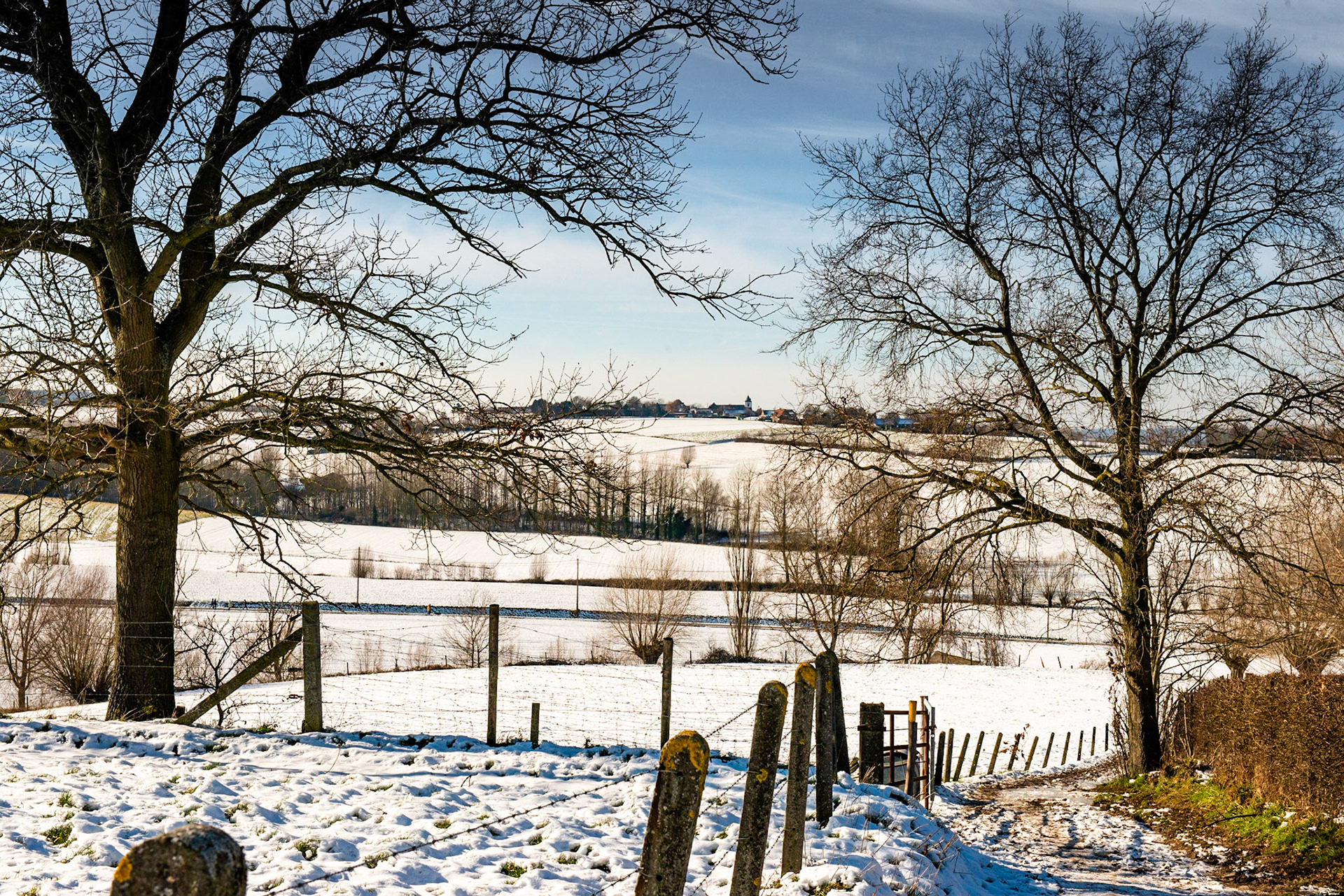 In de verte het kerkje van Kwaremont