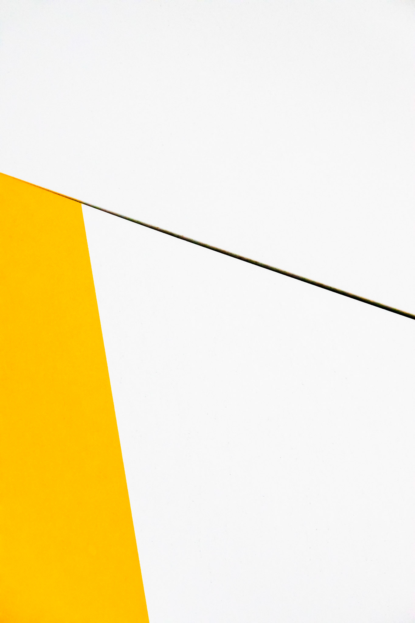 Composition Jaune et Blanche