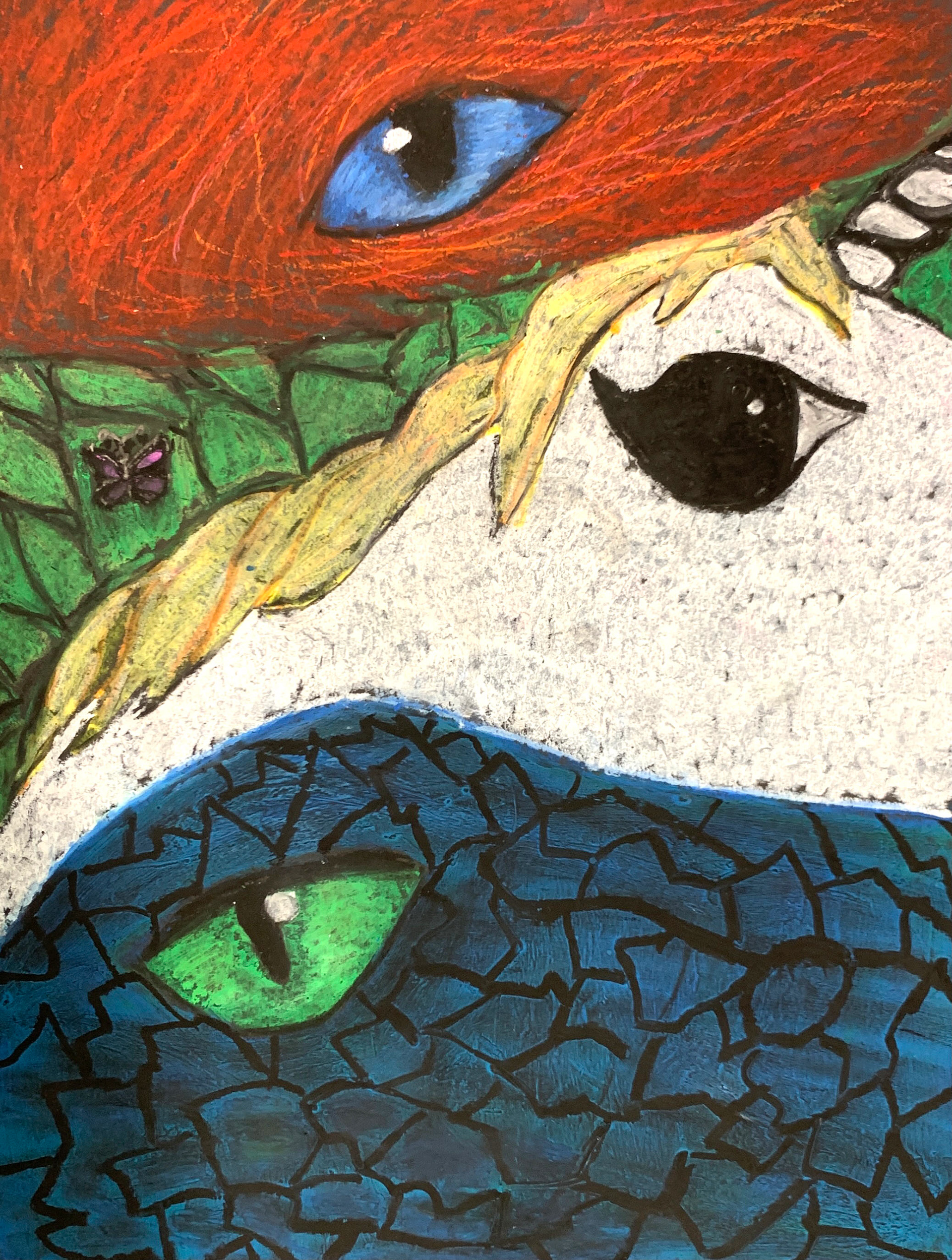 ANIMAL EYES. Grade 5