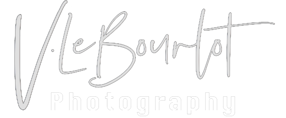 Vincent Le Bourlot
