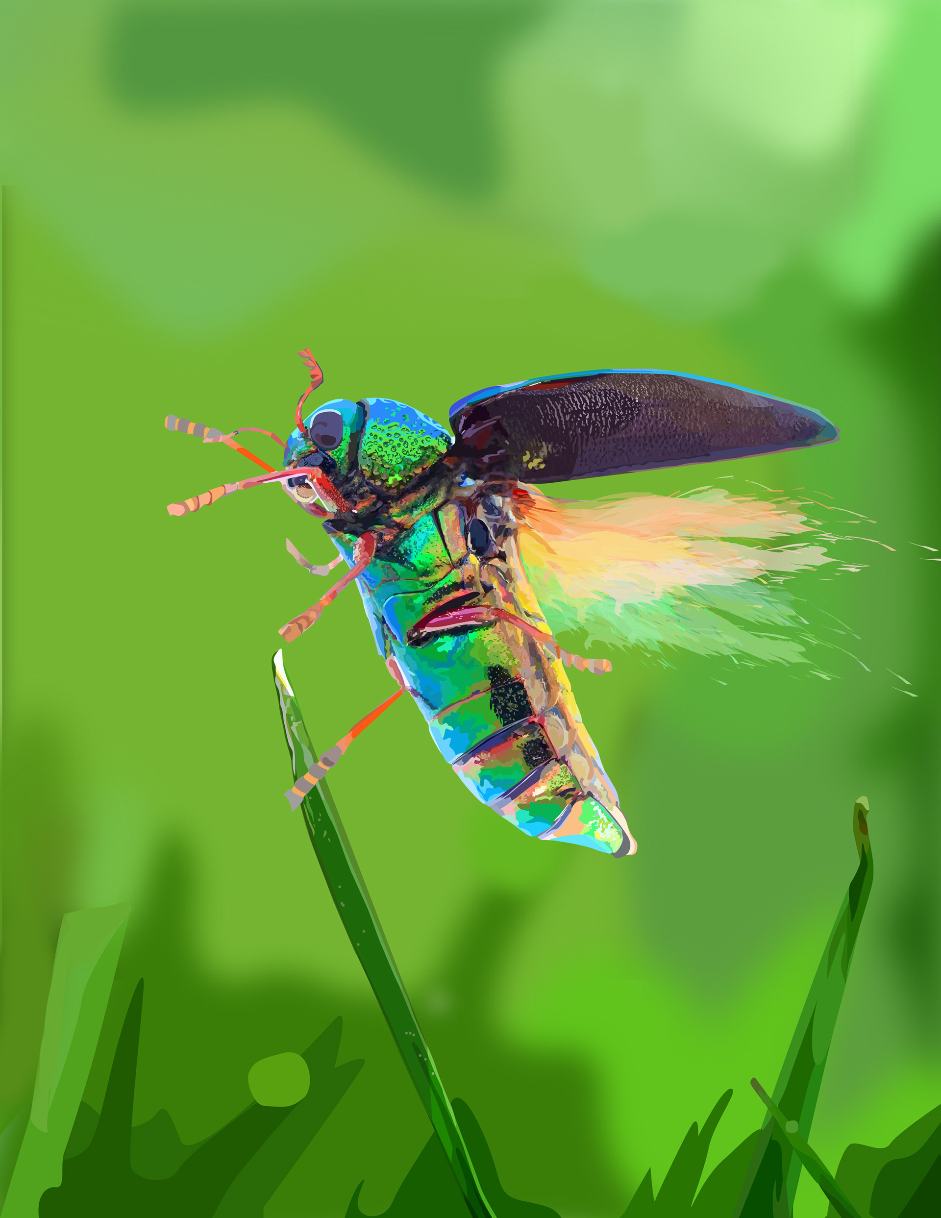 Beetle Vector Illustration - Adobe Illustrator CC