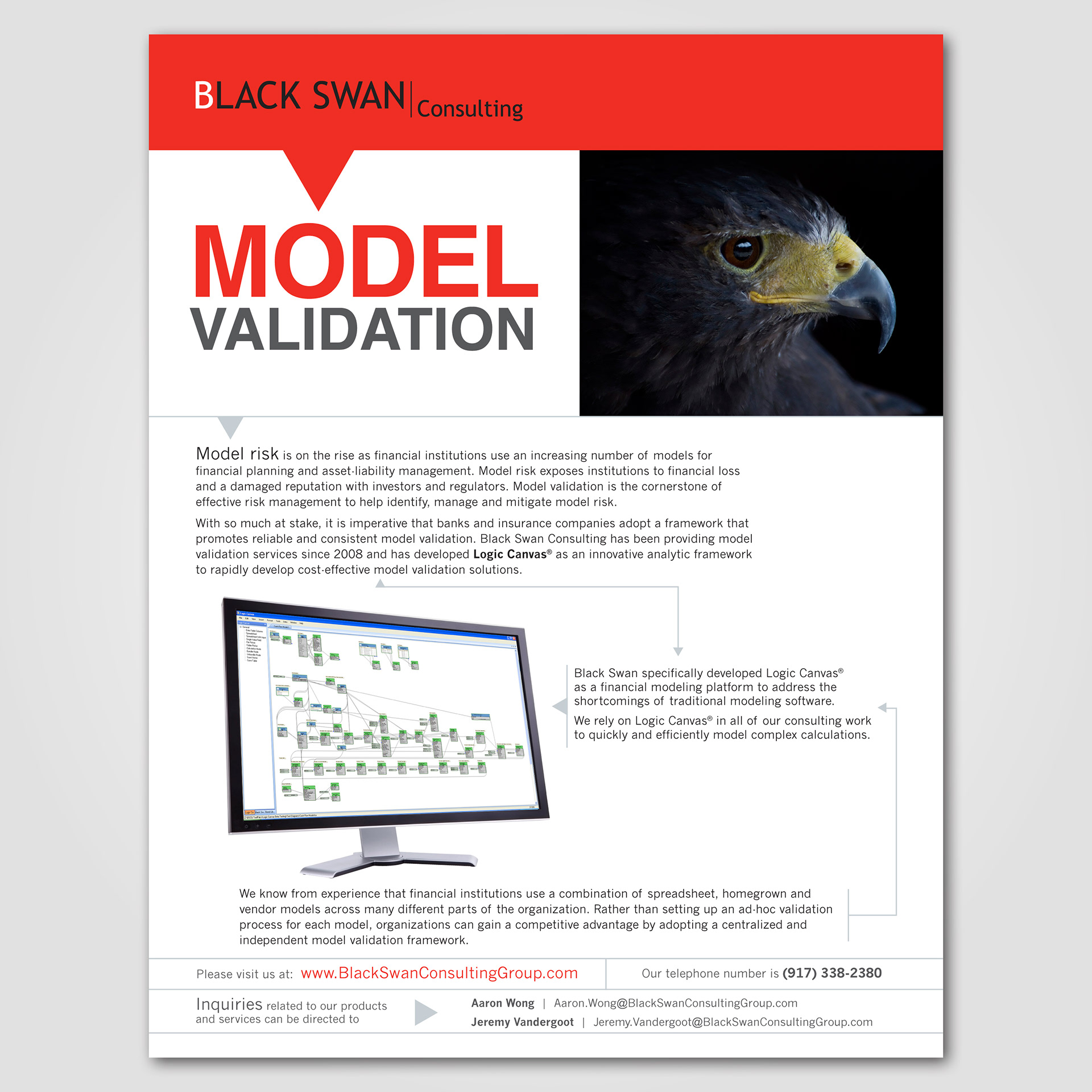 Black Swan Consulting, financial information sheet, red and black, black and white photography, structured finance advisors, financial marketing, financial graphic design, structured finance marketing, structured finance graphic design, structured finance digital marketing, new york city, Linda Modica, LMID, Aaron Wong, infographic, info graphic