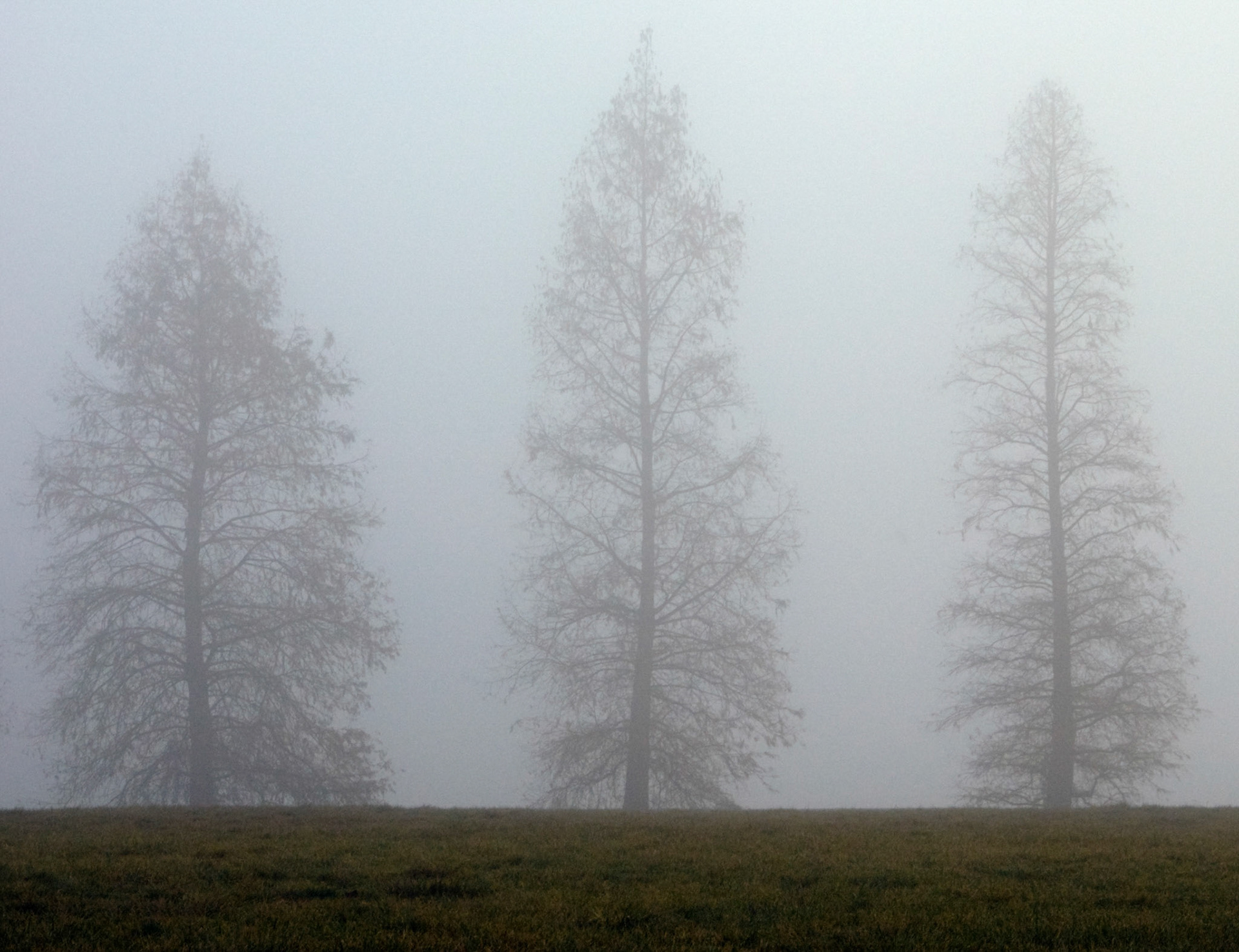 A foggy morning along East Potomac Park near Hains Point in Washington DC.