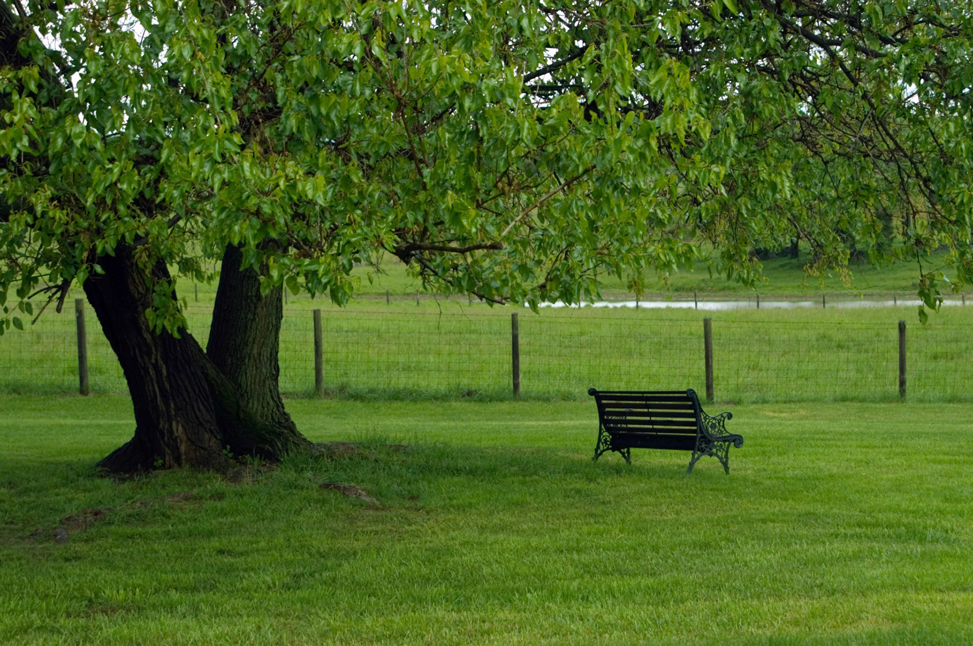 The scenery around L'Auberge Provencale near White Post Virginia.