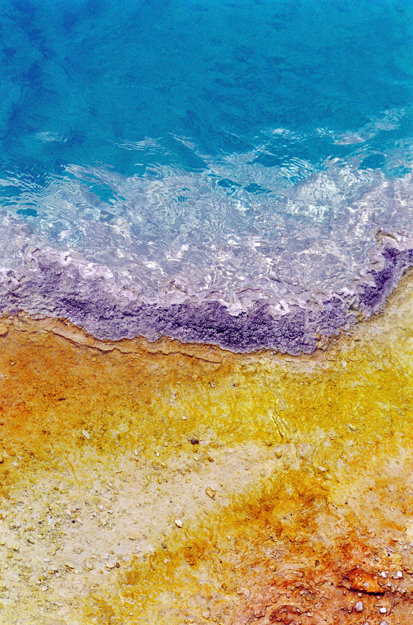 The colors of a hot spring viewed at close range at Yellowstone National Park in Wyoming.