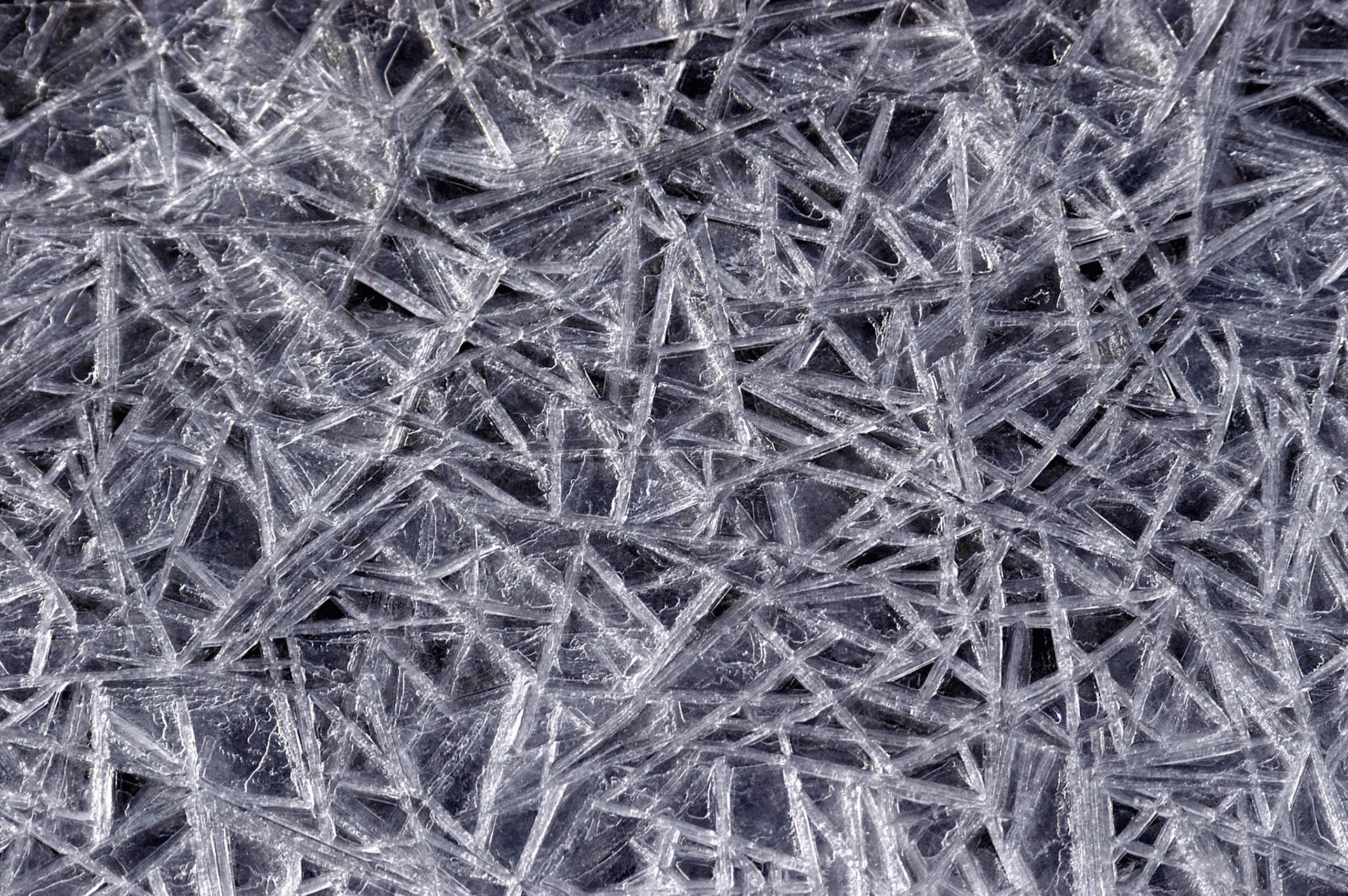 Unusually shaped ice formations in the Tidal Basinl in Washington DC.