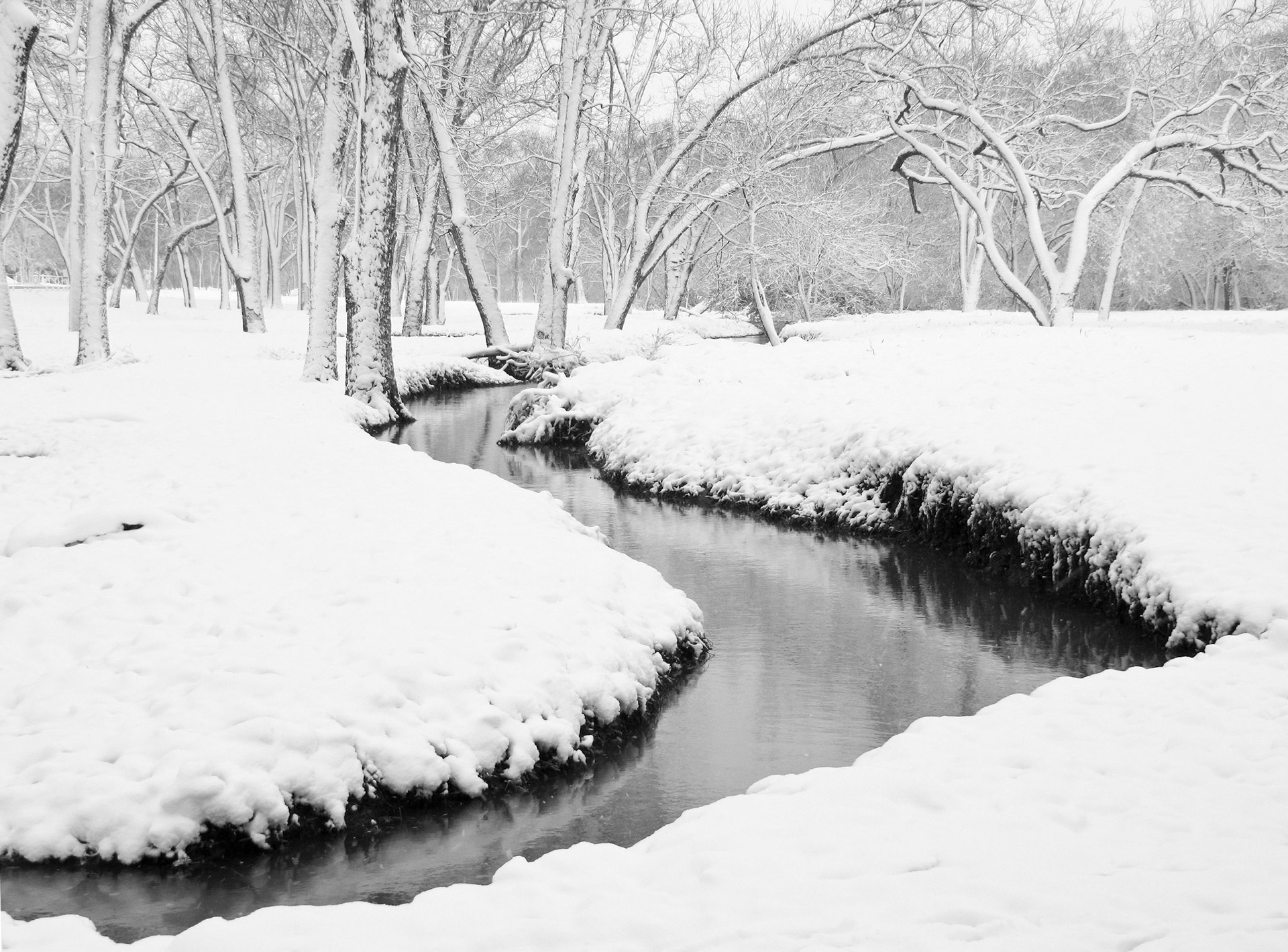 A rare snow storm hits White Rock Creek in Dallas Texas in March.