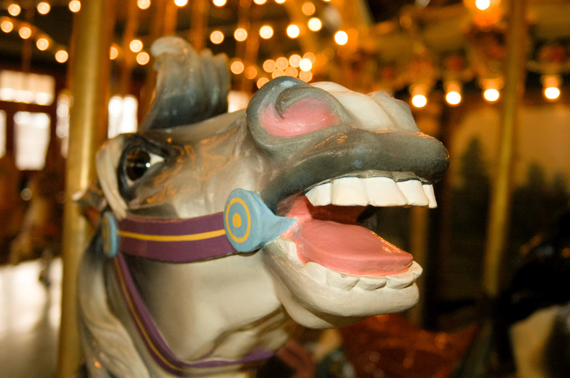 One of 40 horses on the Dentzel Carousel at Glen Echo Park in Glen Echo Maryland.