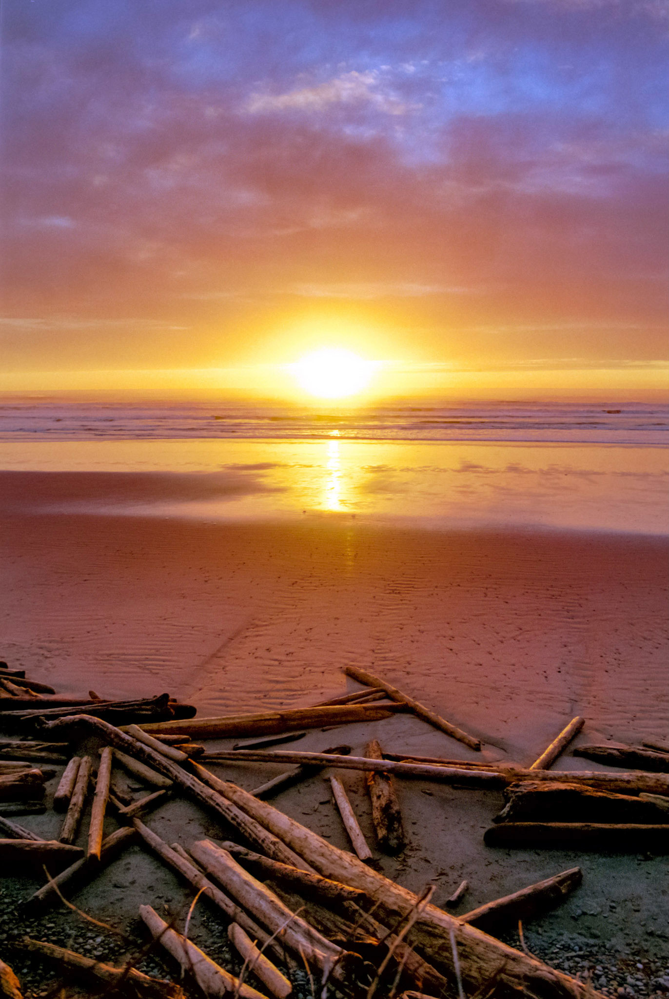 The sunsets over the beach and the driftwook at Kalaloch Beach in the Olympic National Park.