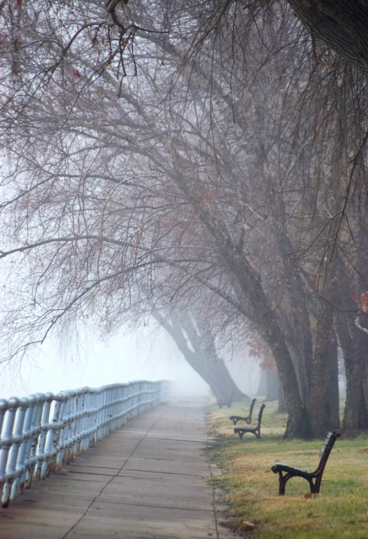 Park benches on a foggy morning along East Potomac Park near Hain's Point.
