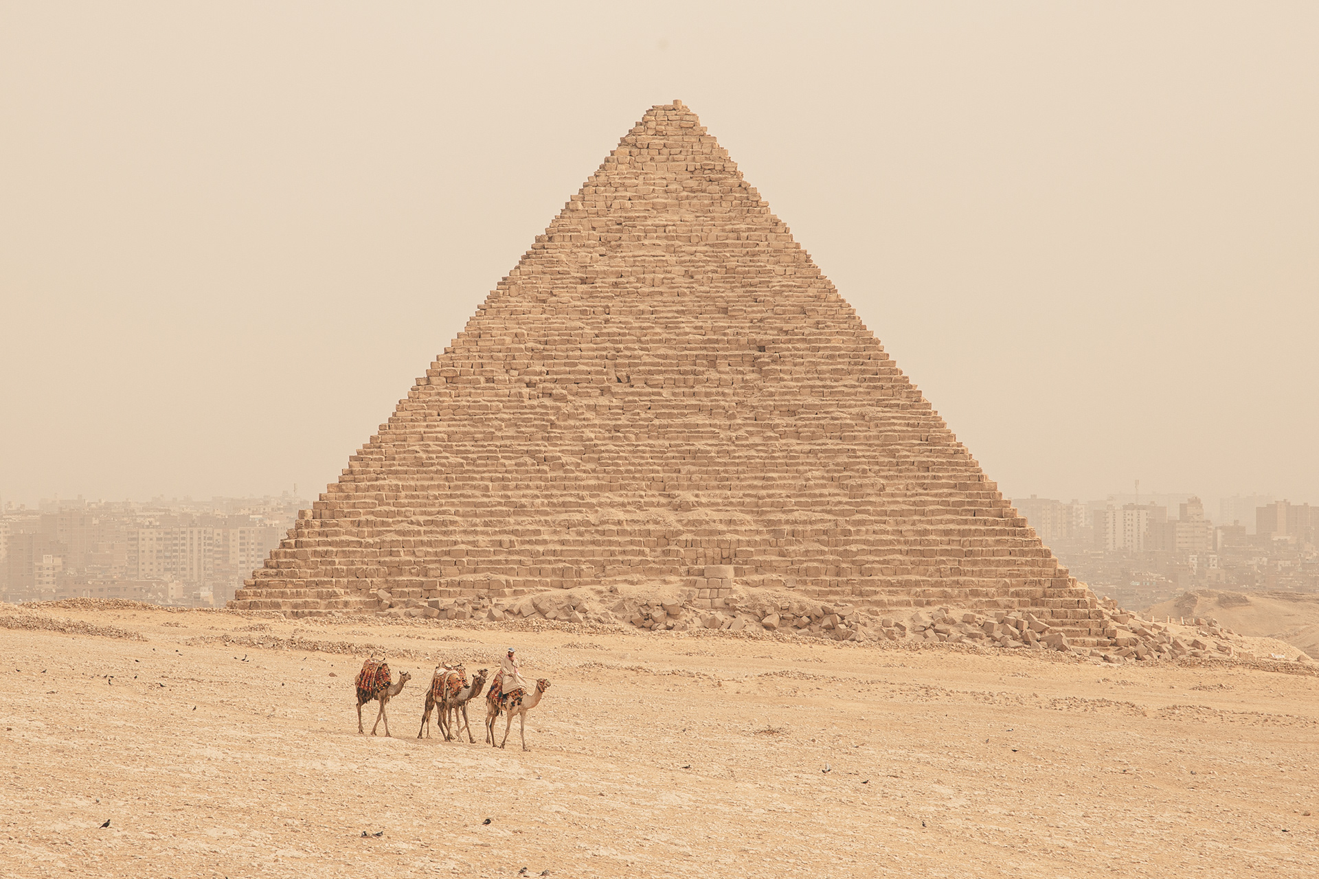 EGYPTIAN-AMERICAN CHAMBER OF COMMERCE, EGYPT