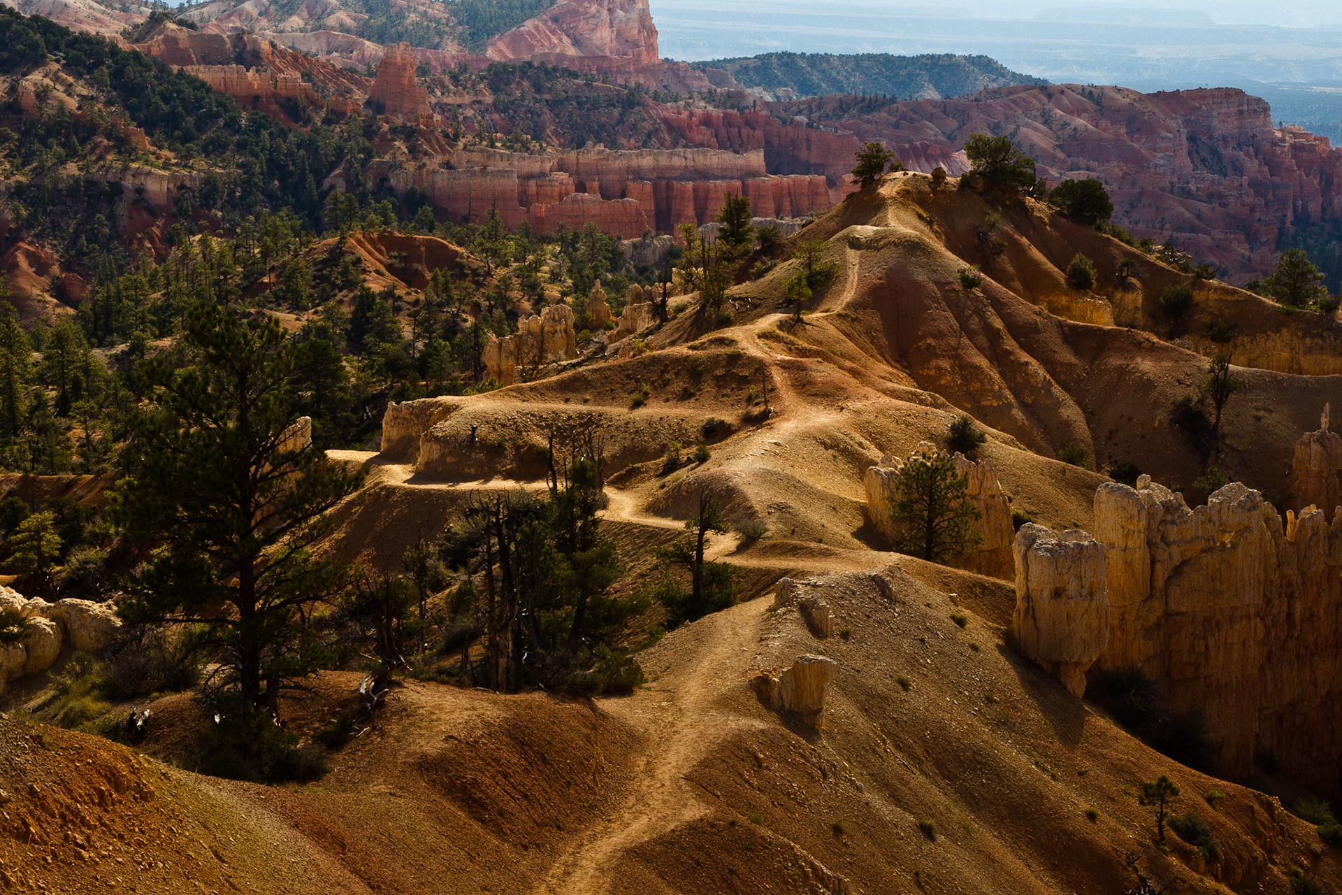 Bryce NP Utah