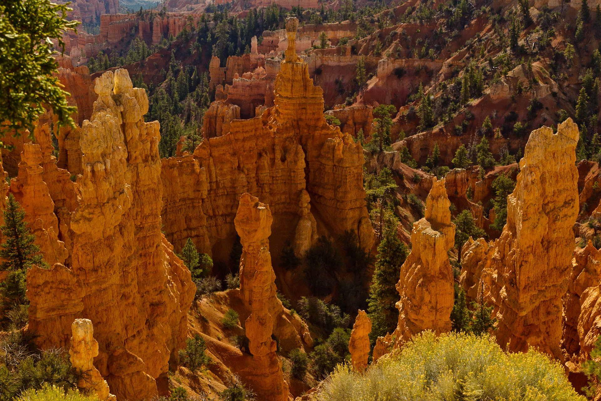 Bryce NP Utah