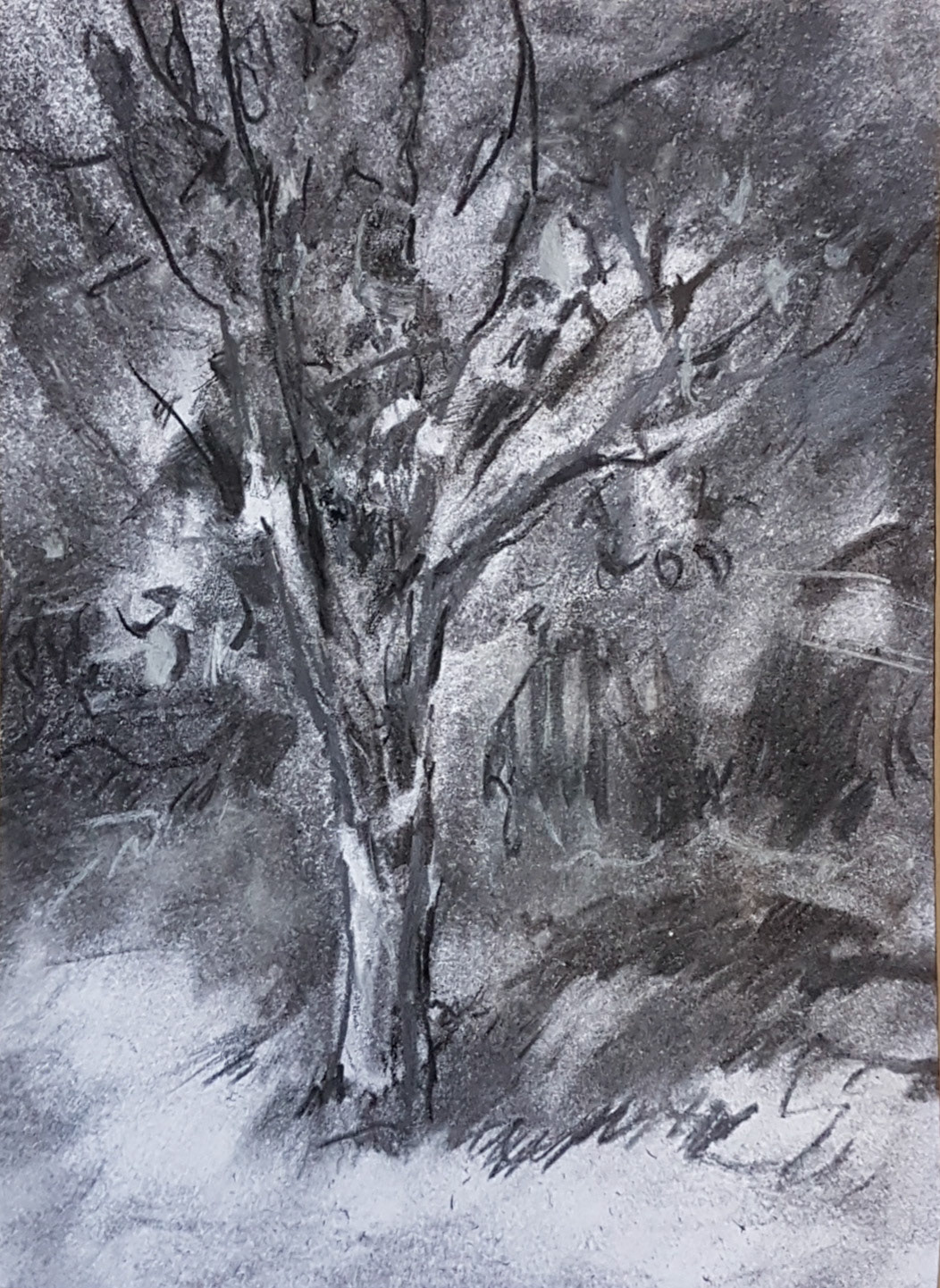 Apple tree