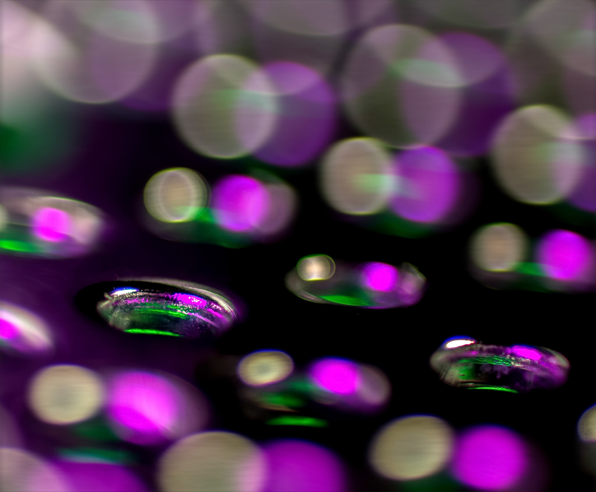 Tropfgitter | 2014