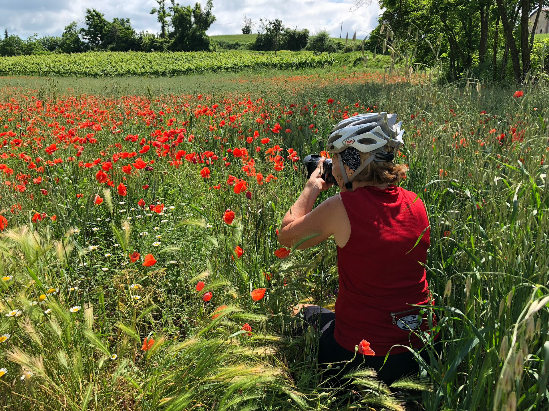 Mohnfeld | Lombardei 2018