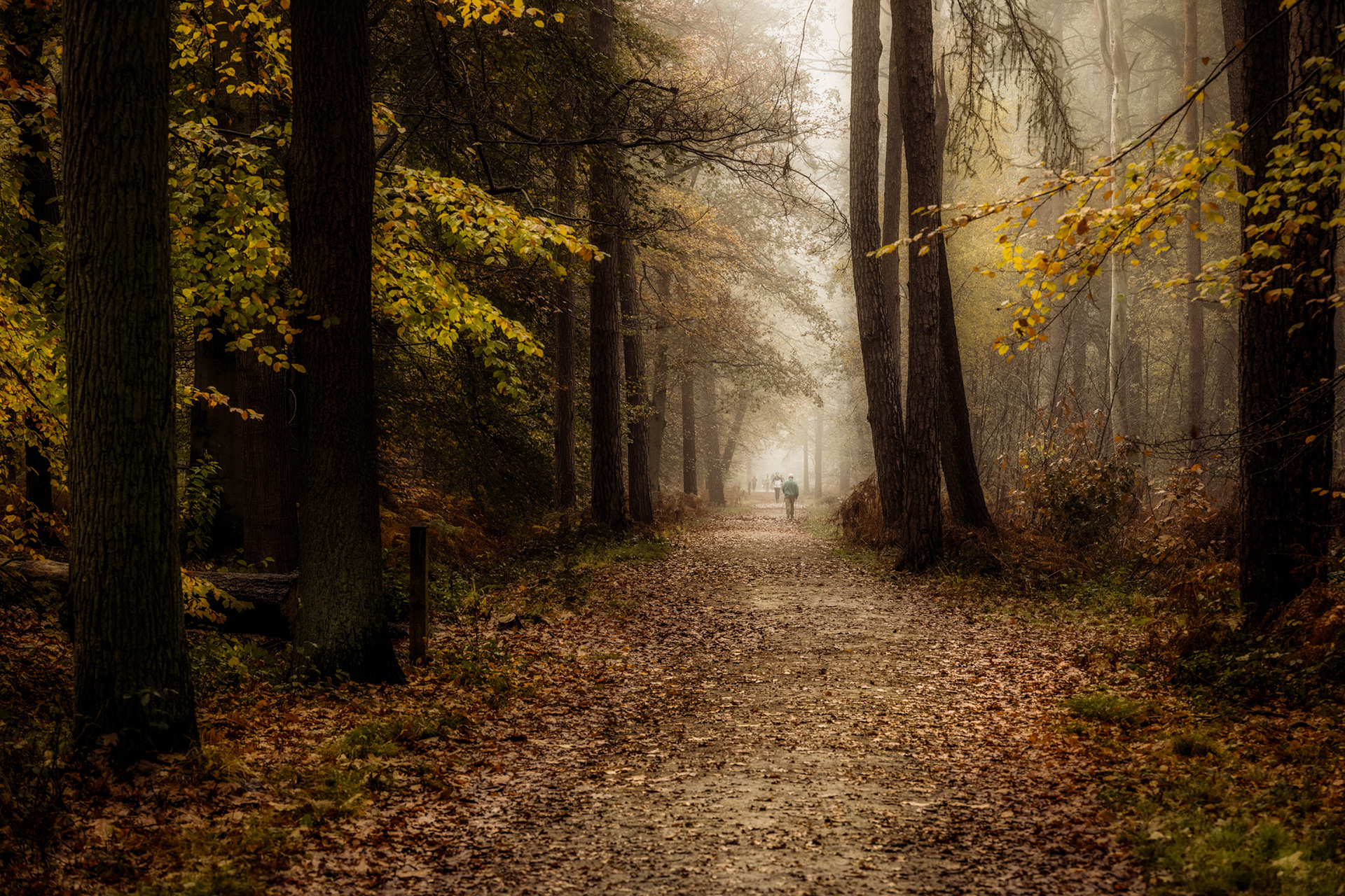 Peerdsbos