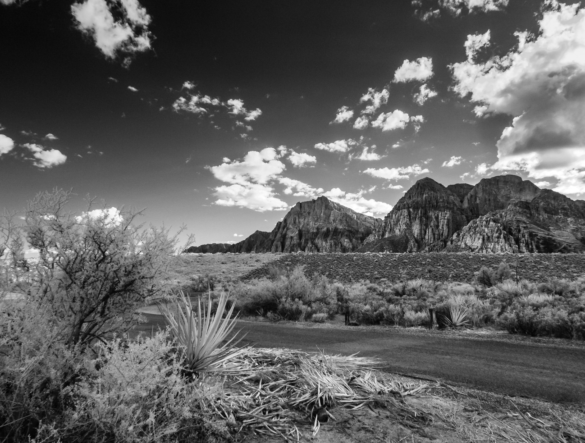 Desert View