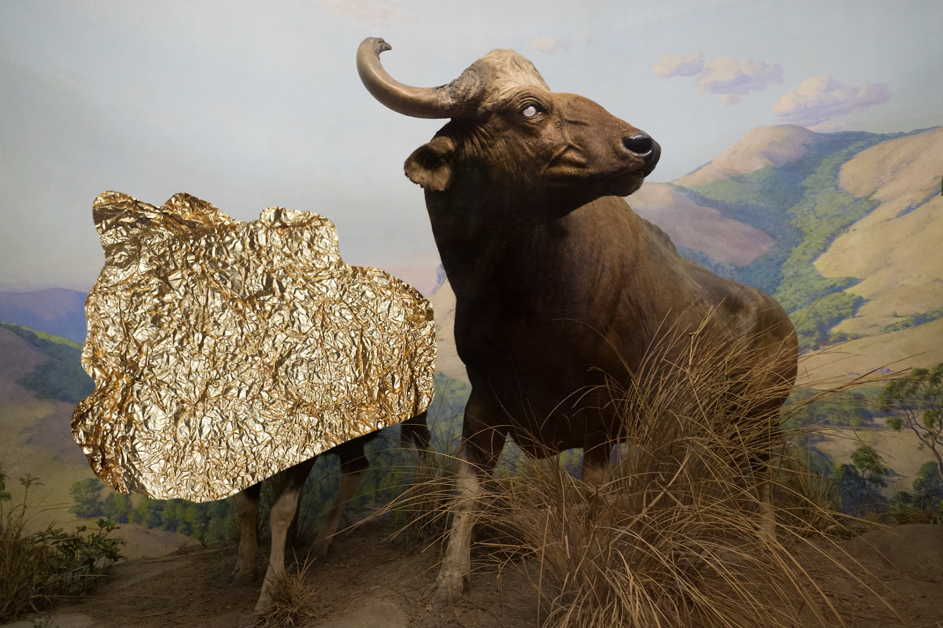 Search for the Golden Calf