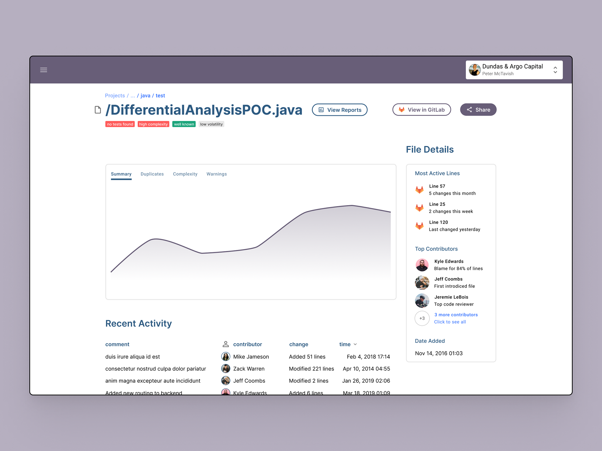 File screen shows commit details and insights on the file over time. Issues or notes could be auto-tagged or manually tagged. These examples are things Professional Services might typically point out to clients.