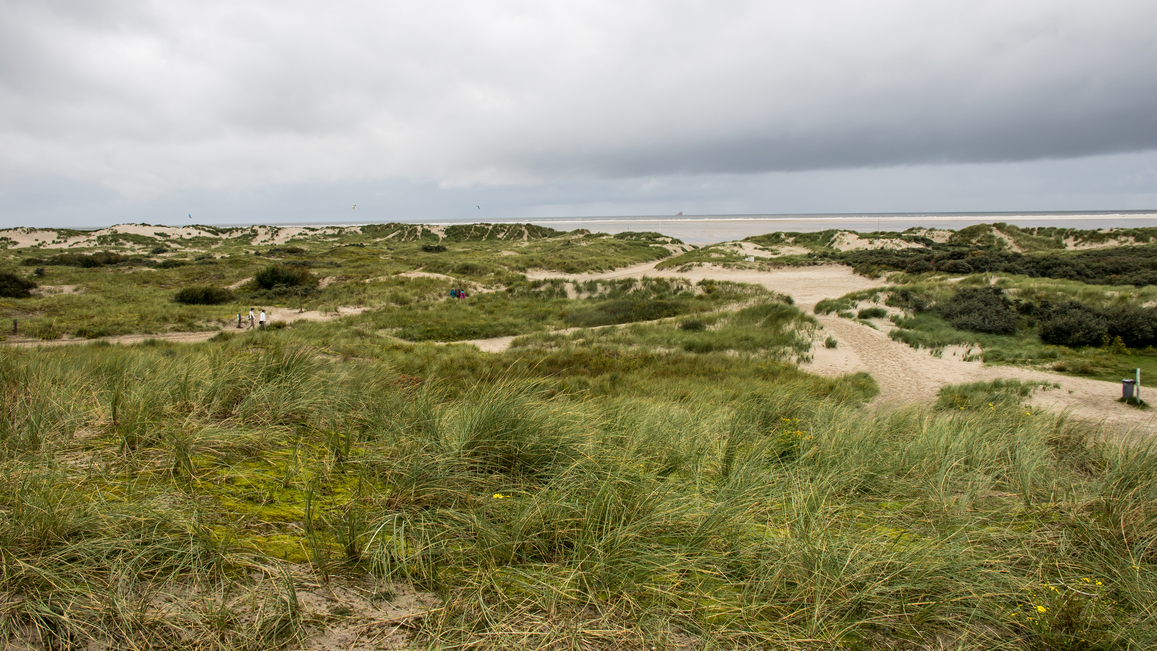 Ulrich Kloes Borkum