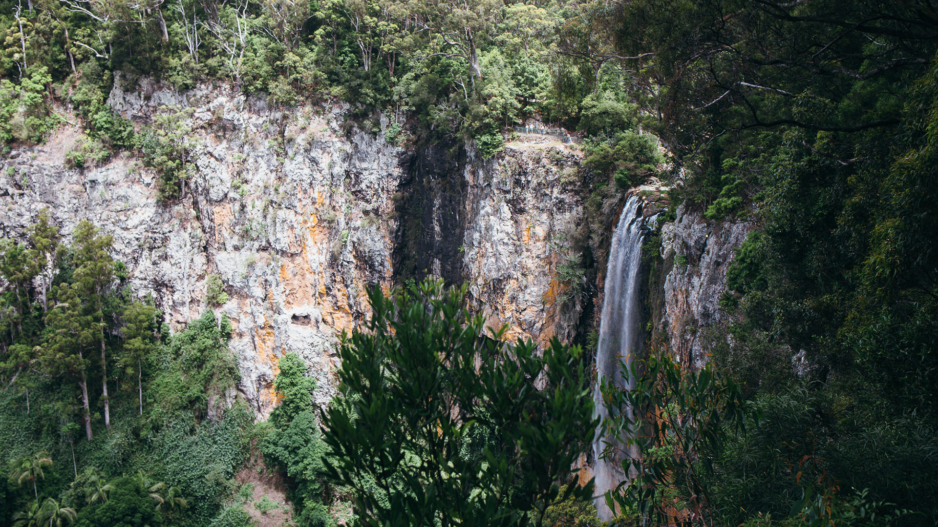 Anthony Hearsey 2019 Purling Brook Falls