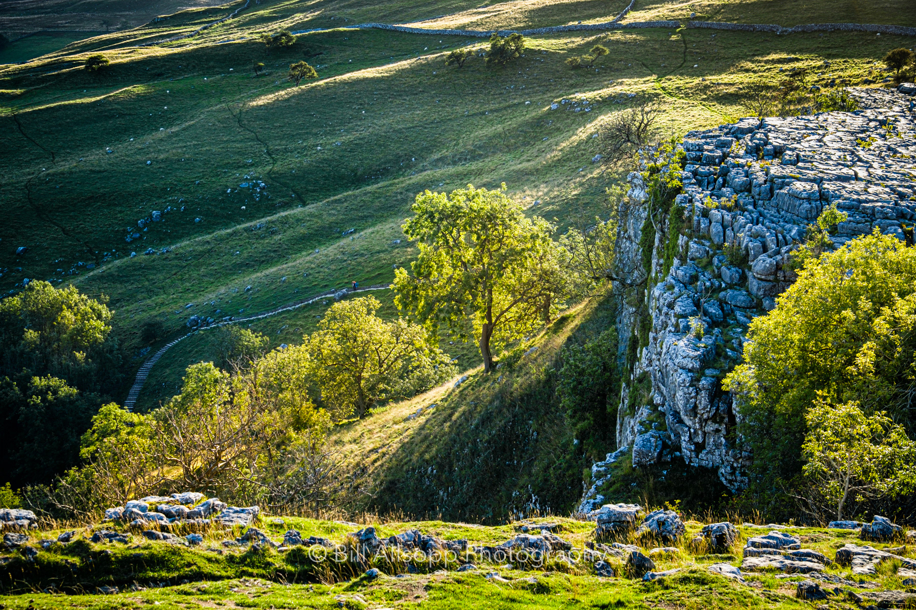 The limestone pavement at Malham Cove.