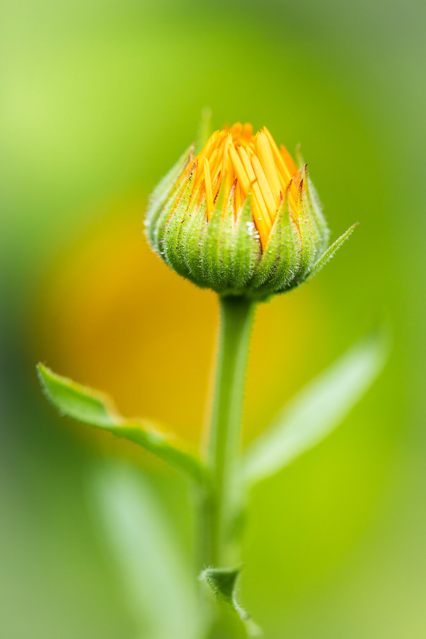 Opening up