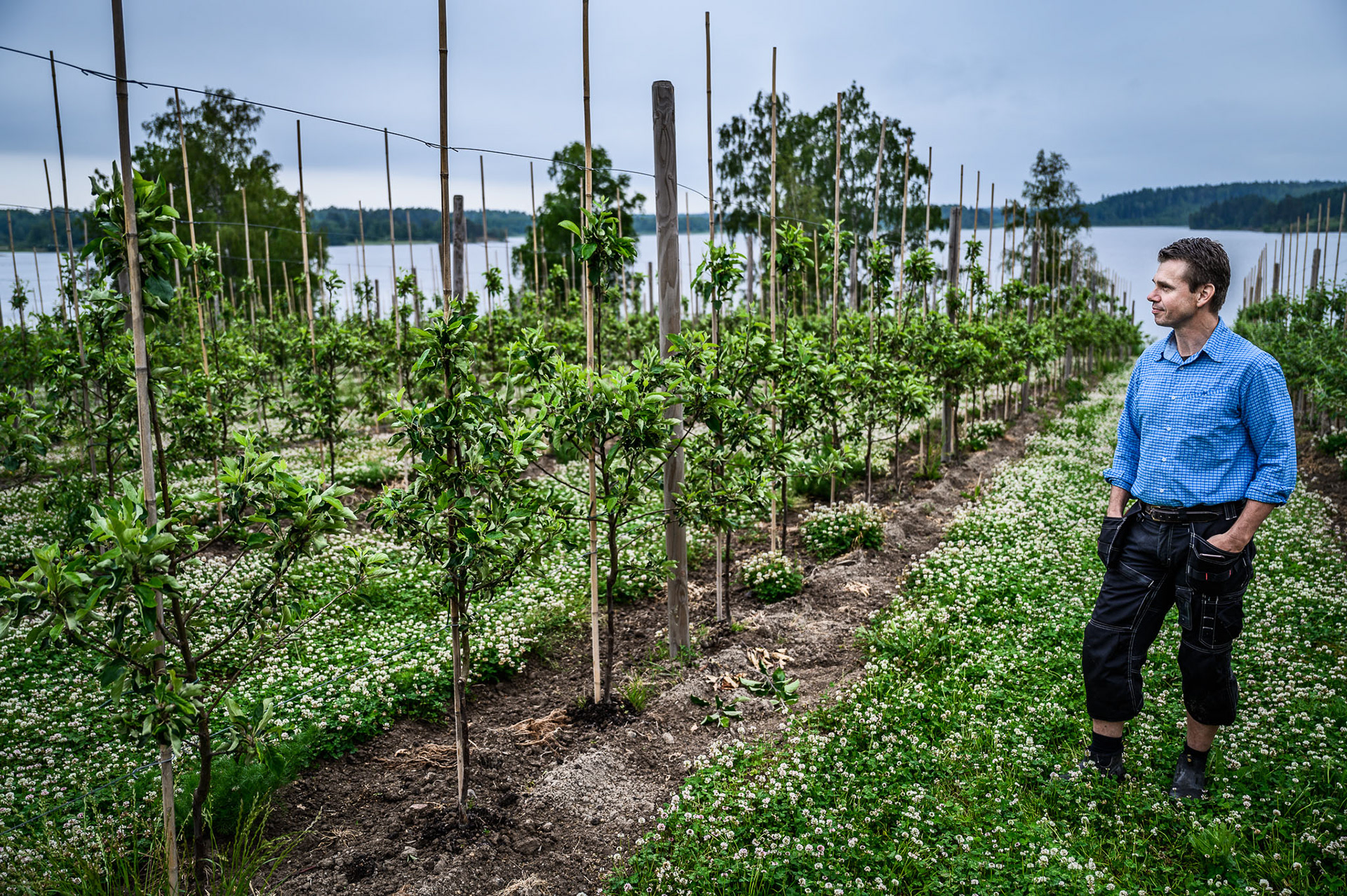 Roger Tiefensee left the first line of national politics for managing a cider factory.