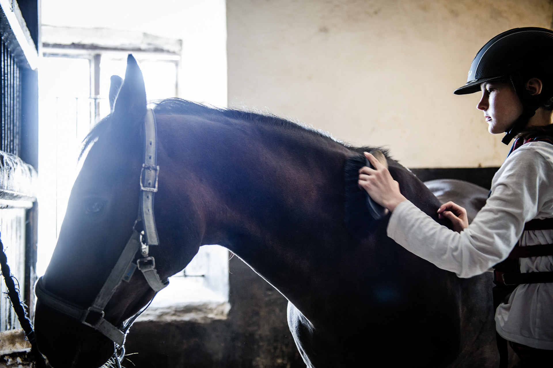 The contact with the horses helps Emelie hold back her OCD.