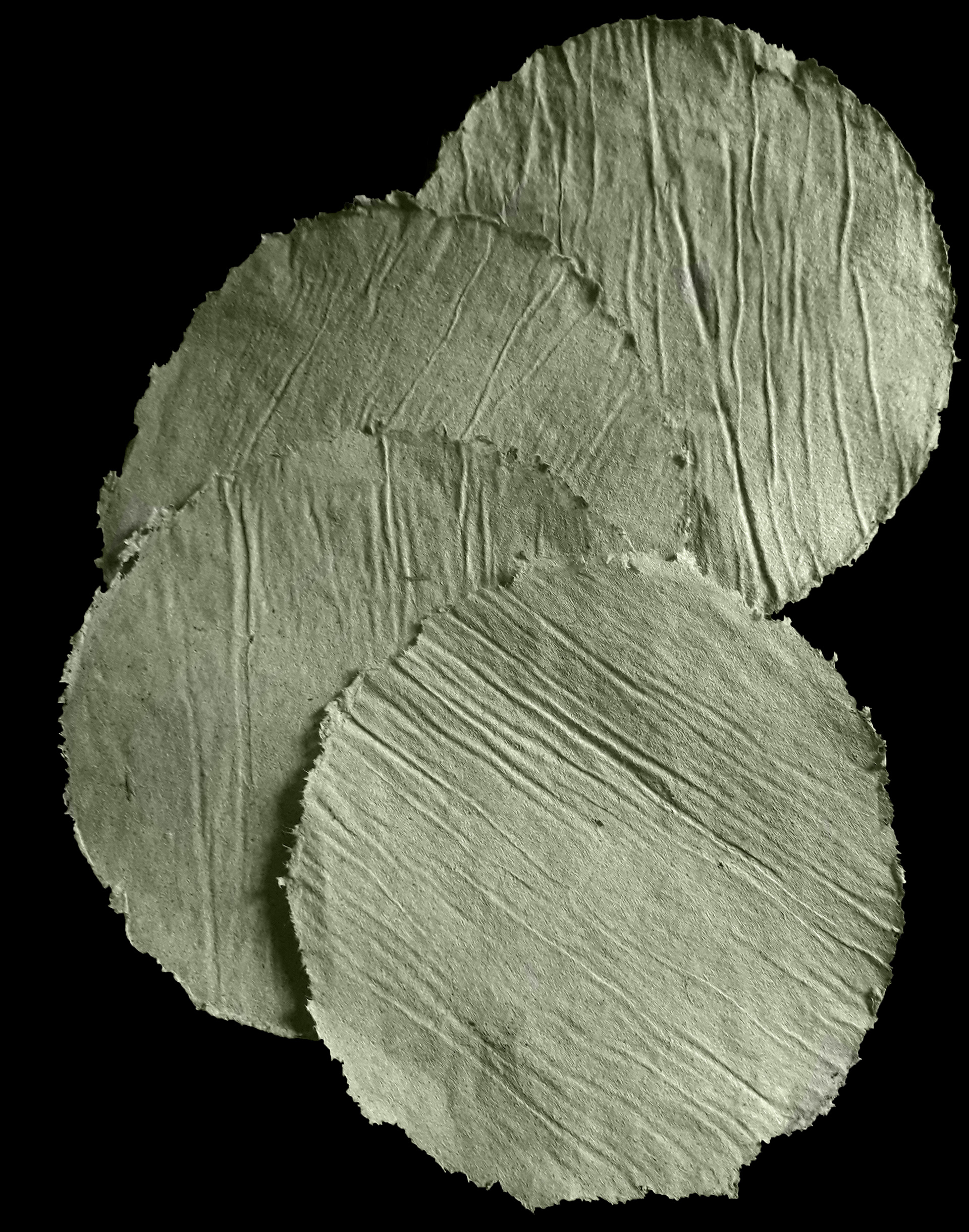 Old betel leaves