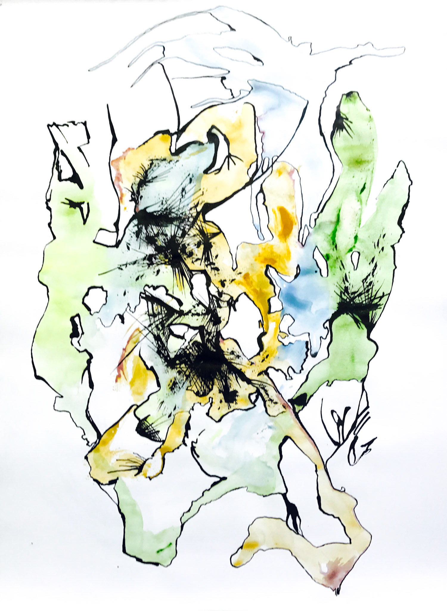 Territory and Smiles | 19 x 24" | Sumi ink and watercolor on bristol.