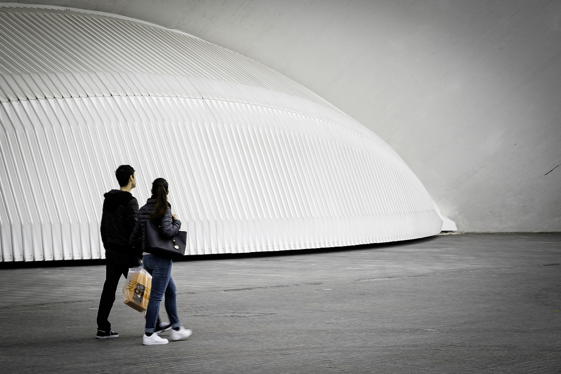 Valencia Calatrava City Of Art & Sciences
