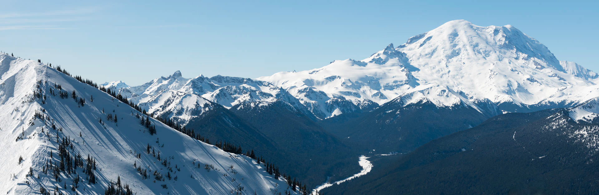 Mt. Rainier