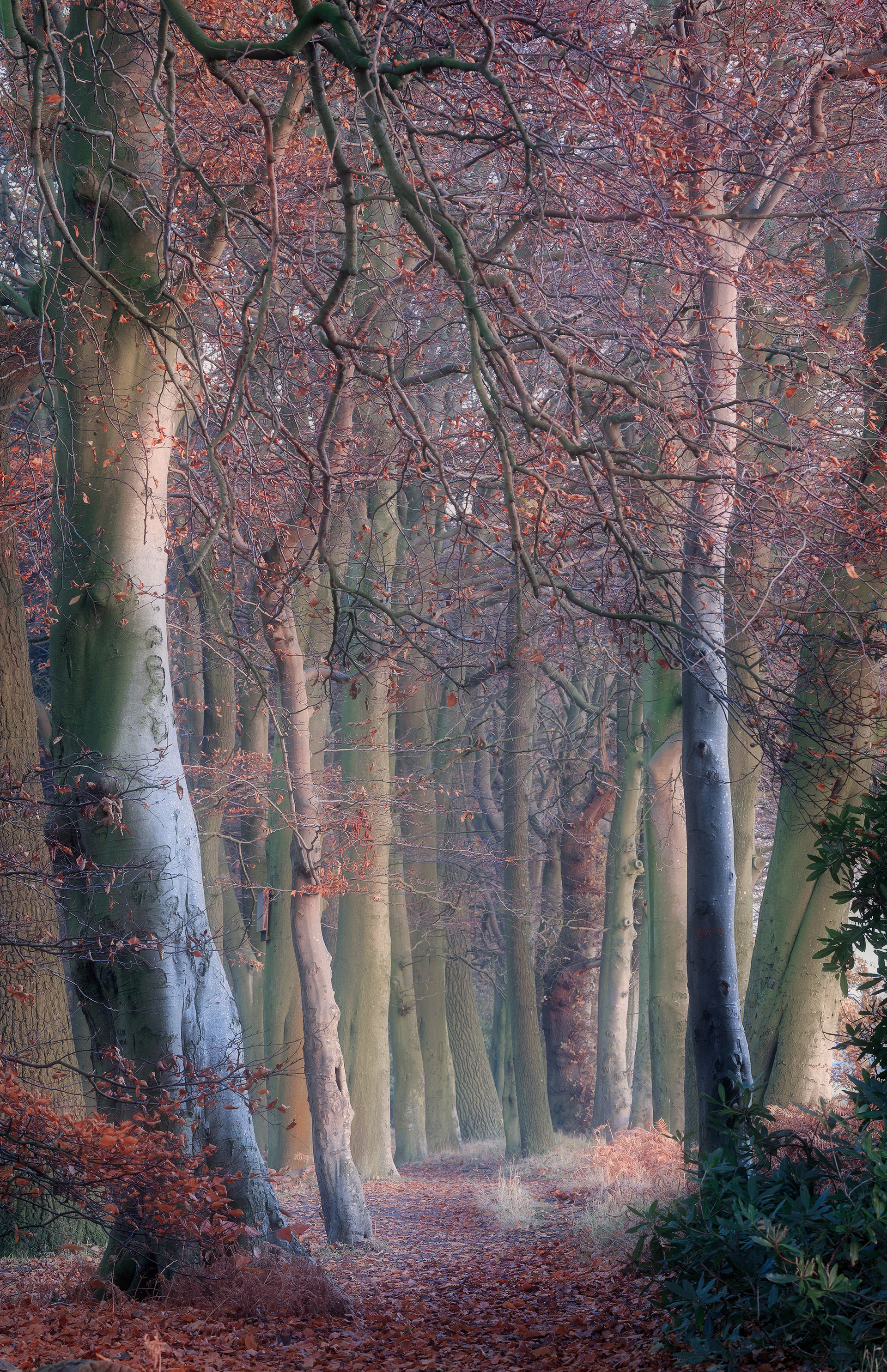 Rufford