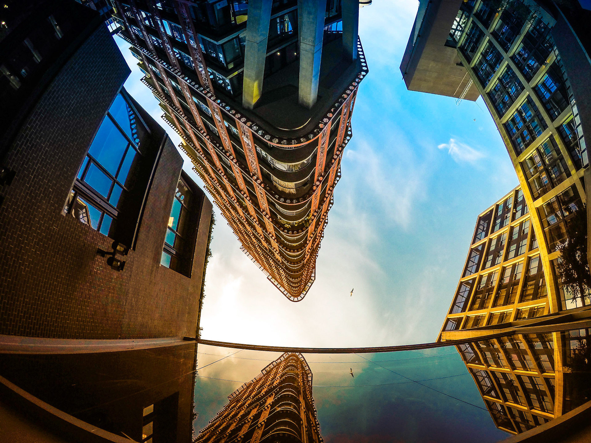 Into the Sky