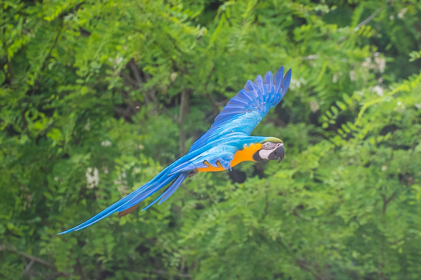 Zoo de Beauval