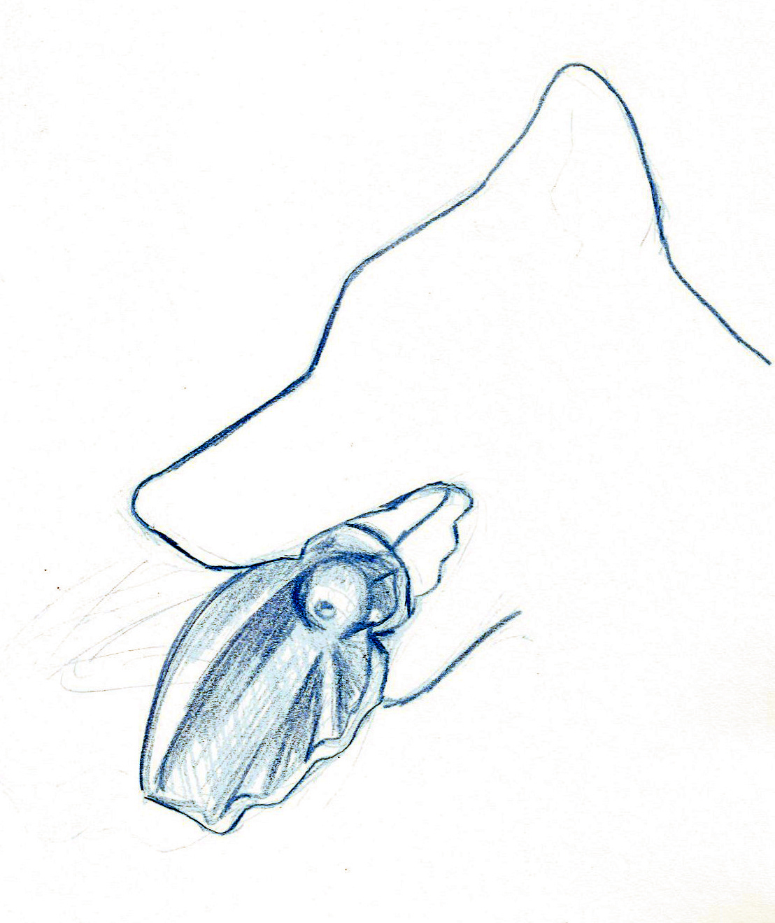 Concept 2, Sketch 2, Scale