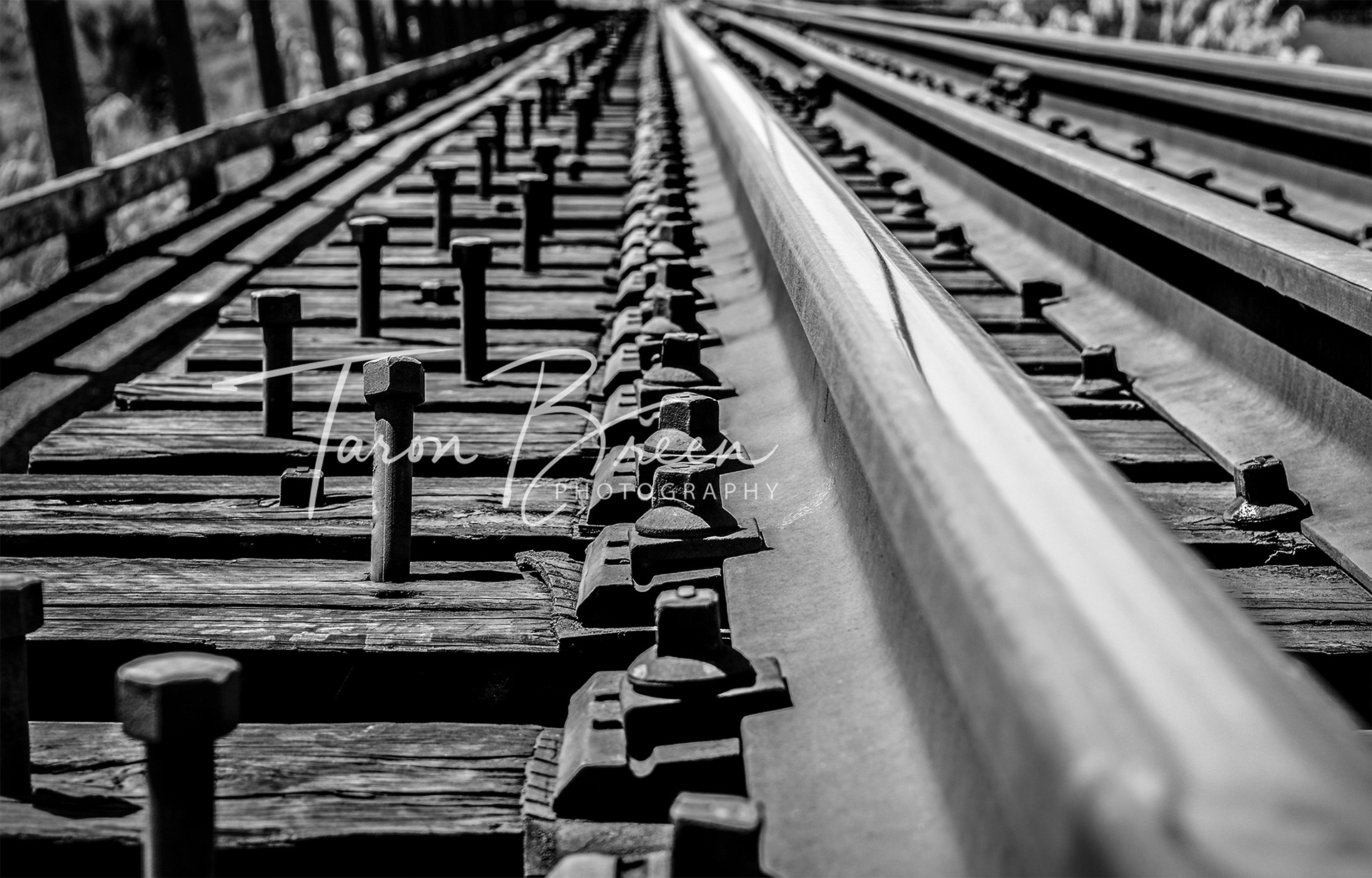 #5 | Railway Tracks | Rangataua | New Zealand