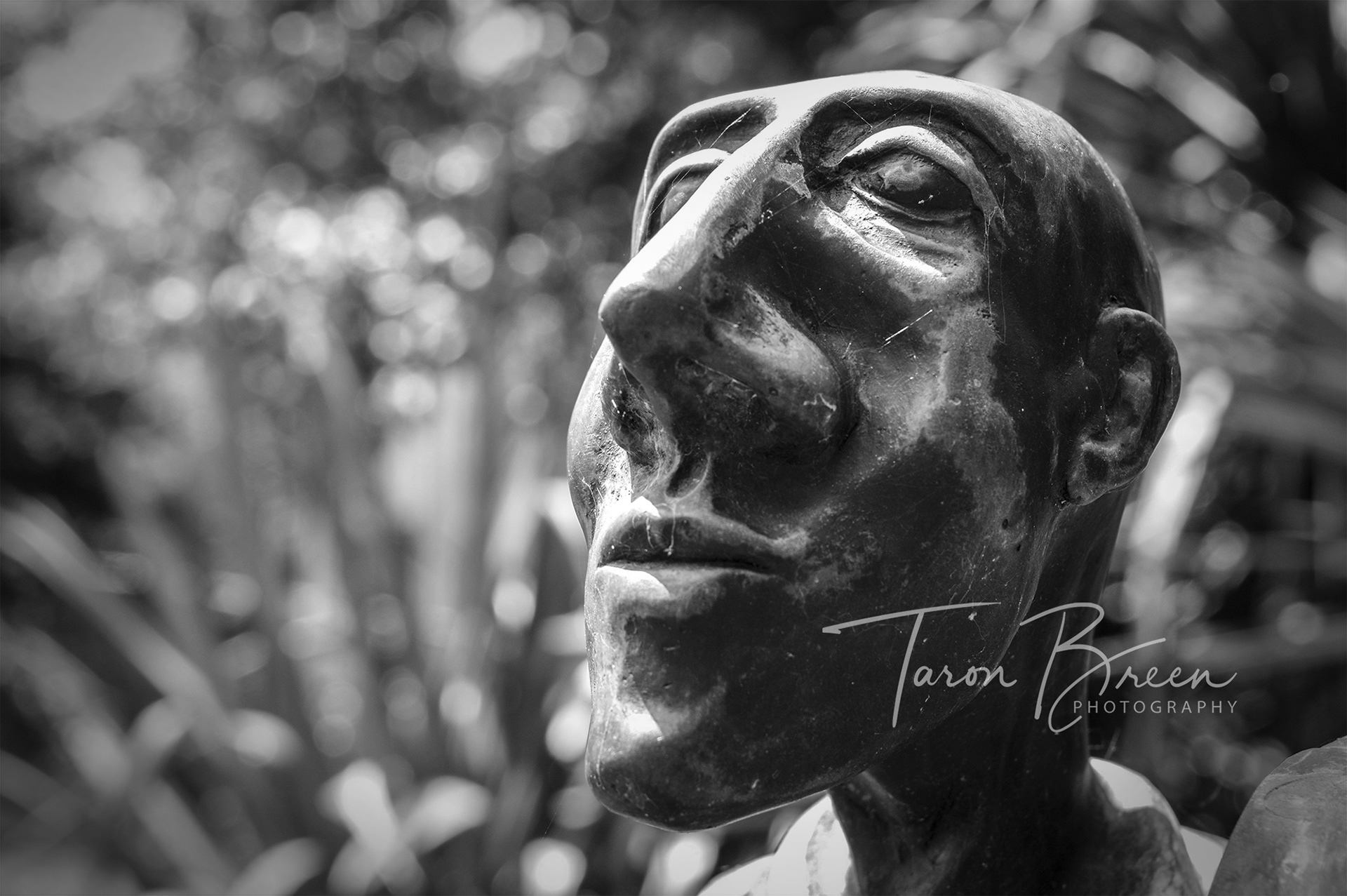 #2 | Sculpture | Tauwhare Arboretum | New Zealand