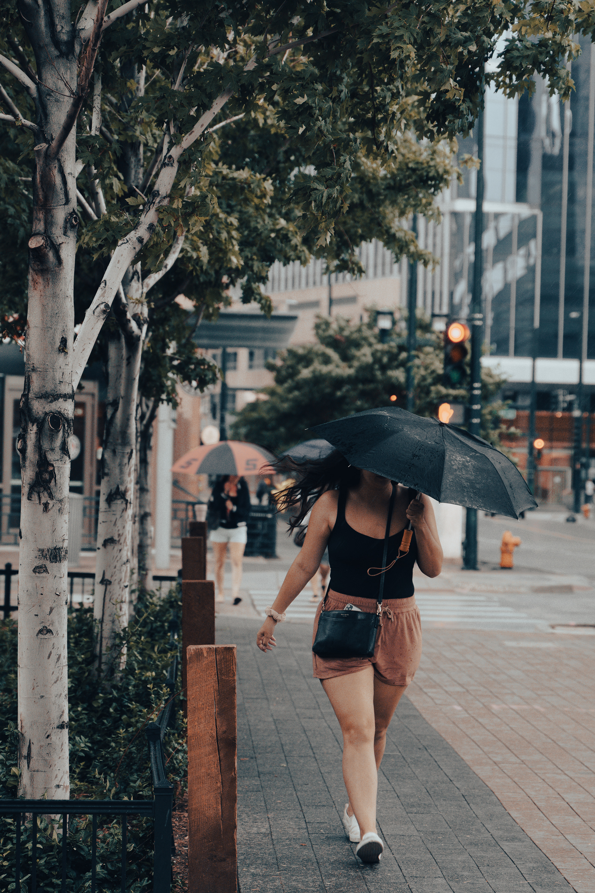 Shelter